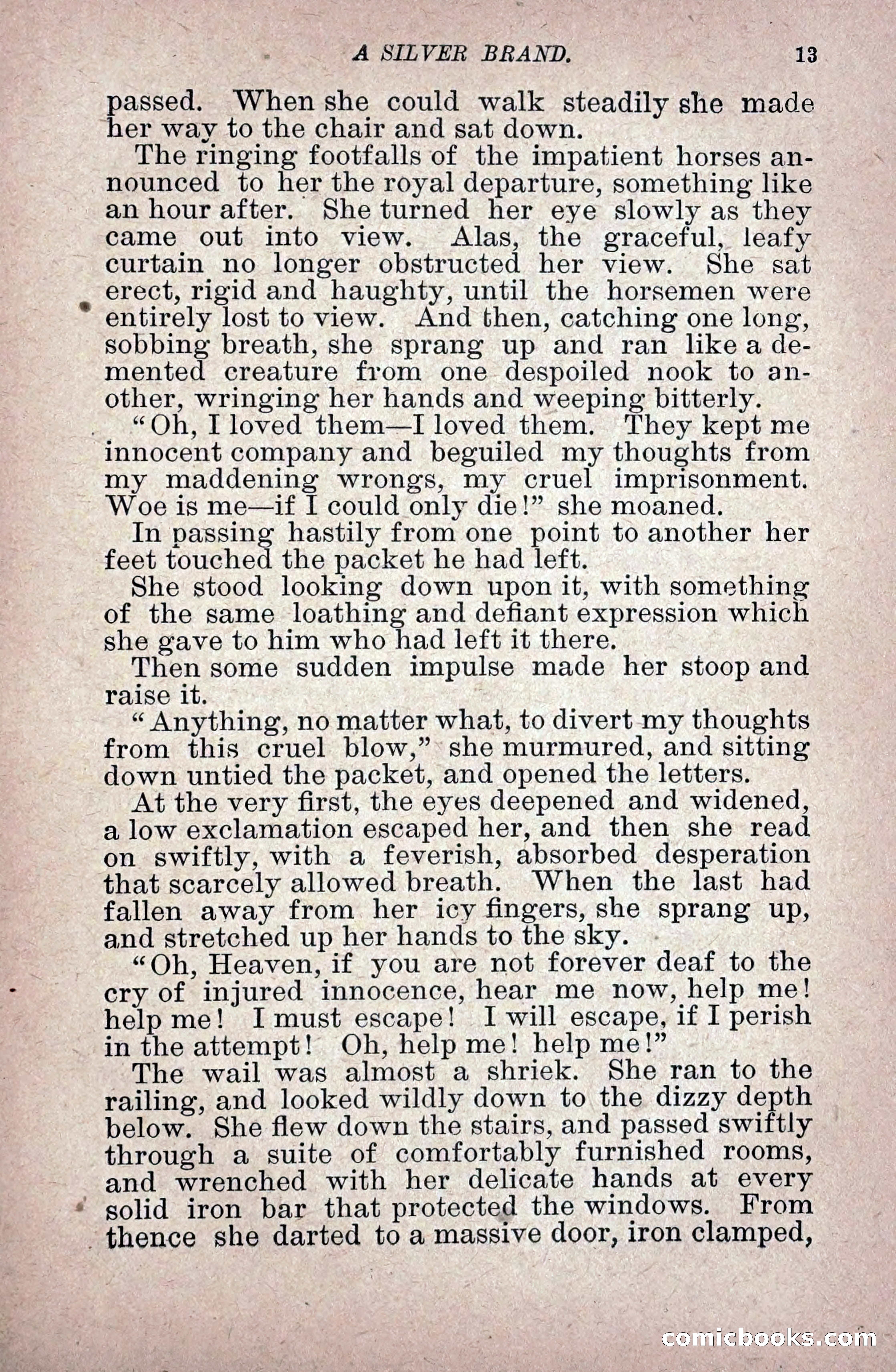 A Silver Brand — page 21 of 314
