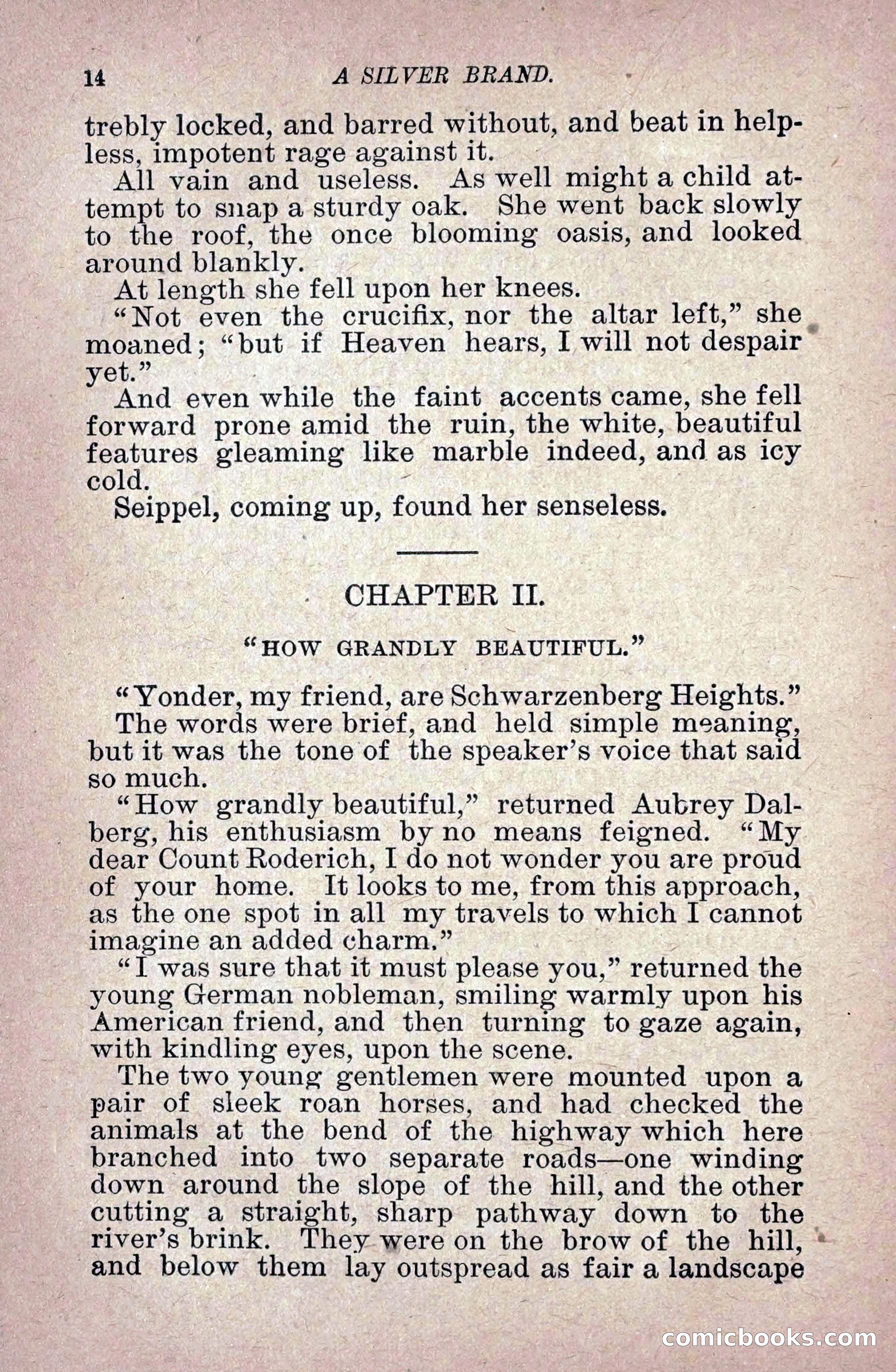 A Silver Brand — page 22 of 314
