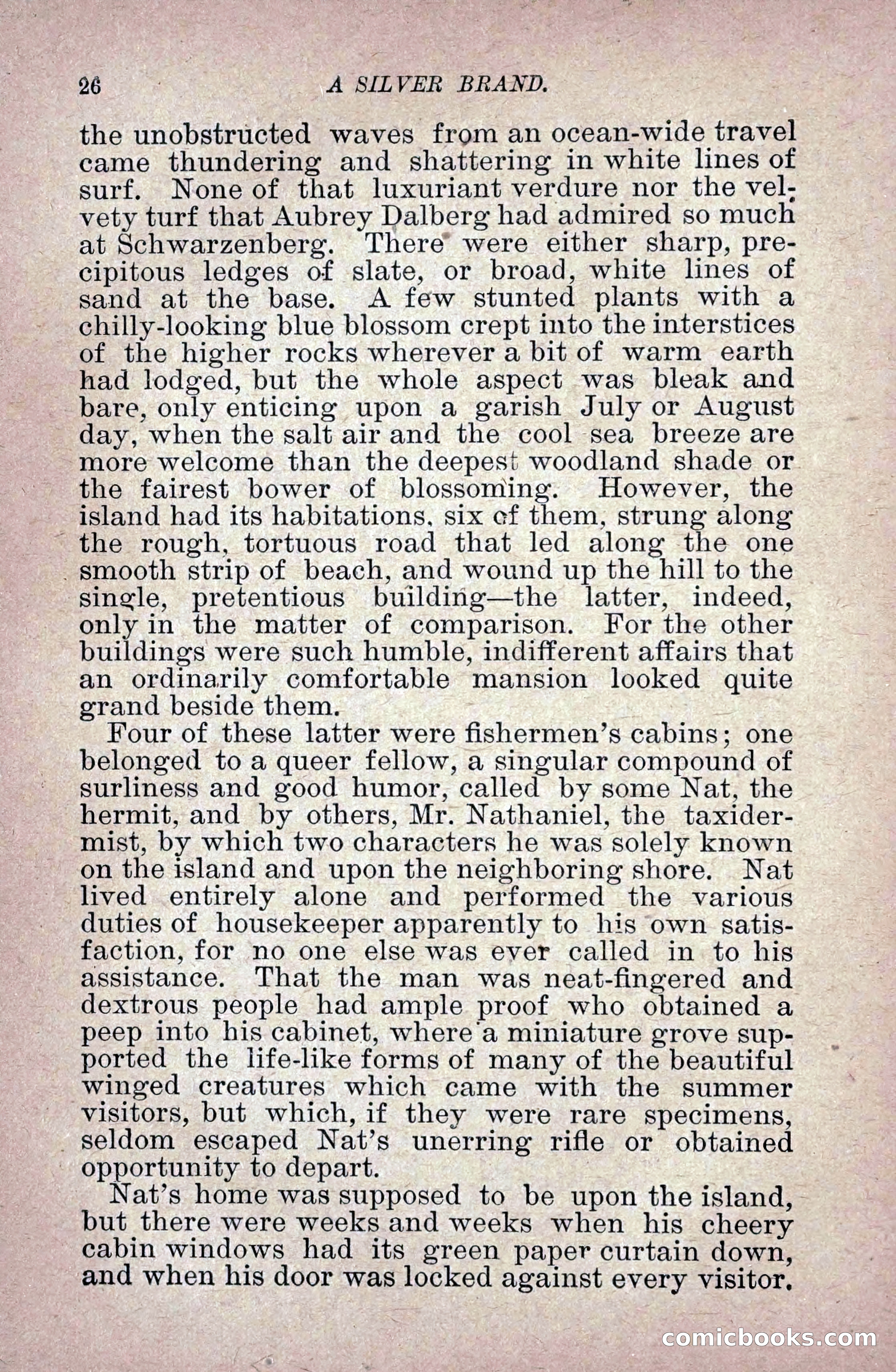 A Silver Brand — page 34 of 314