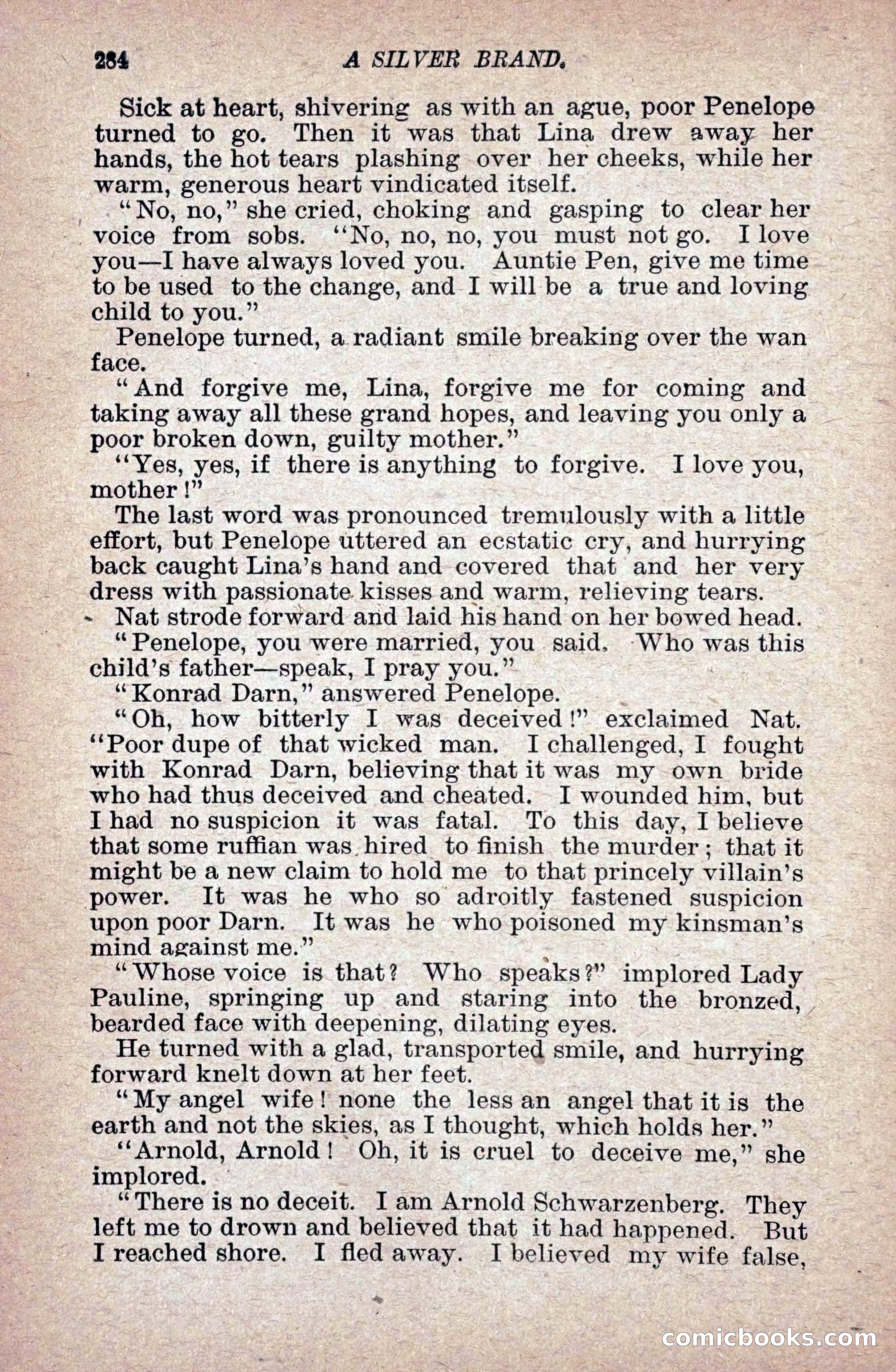 A Silver Brand — page 292 of 314