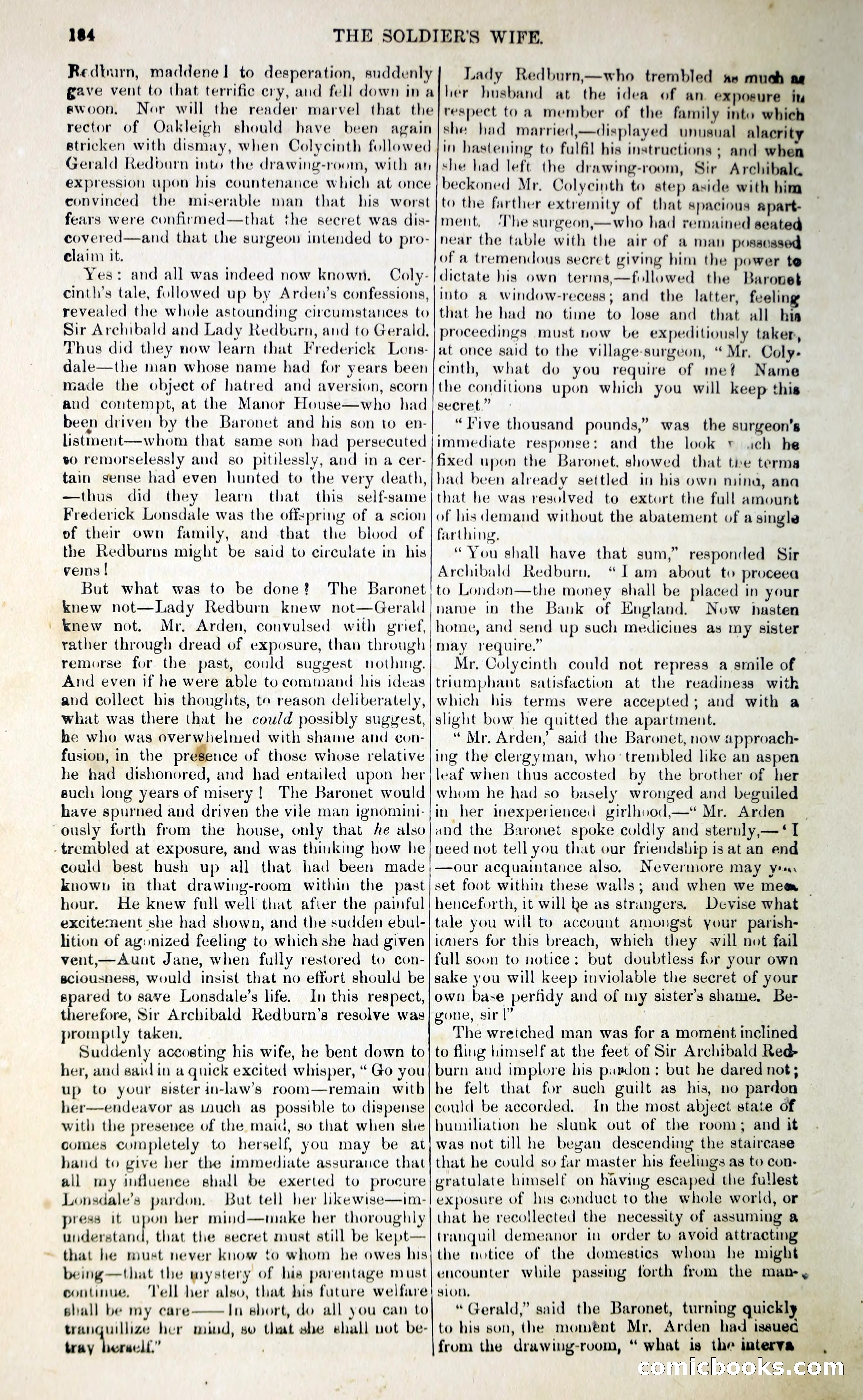 The Soldier's Wife — page 205 of 231