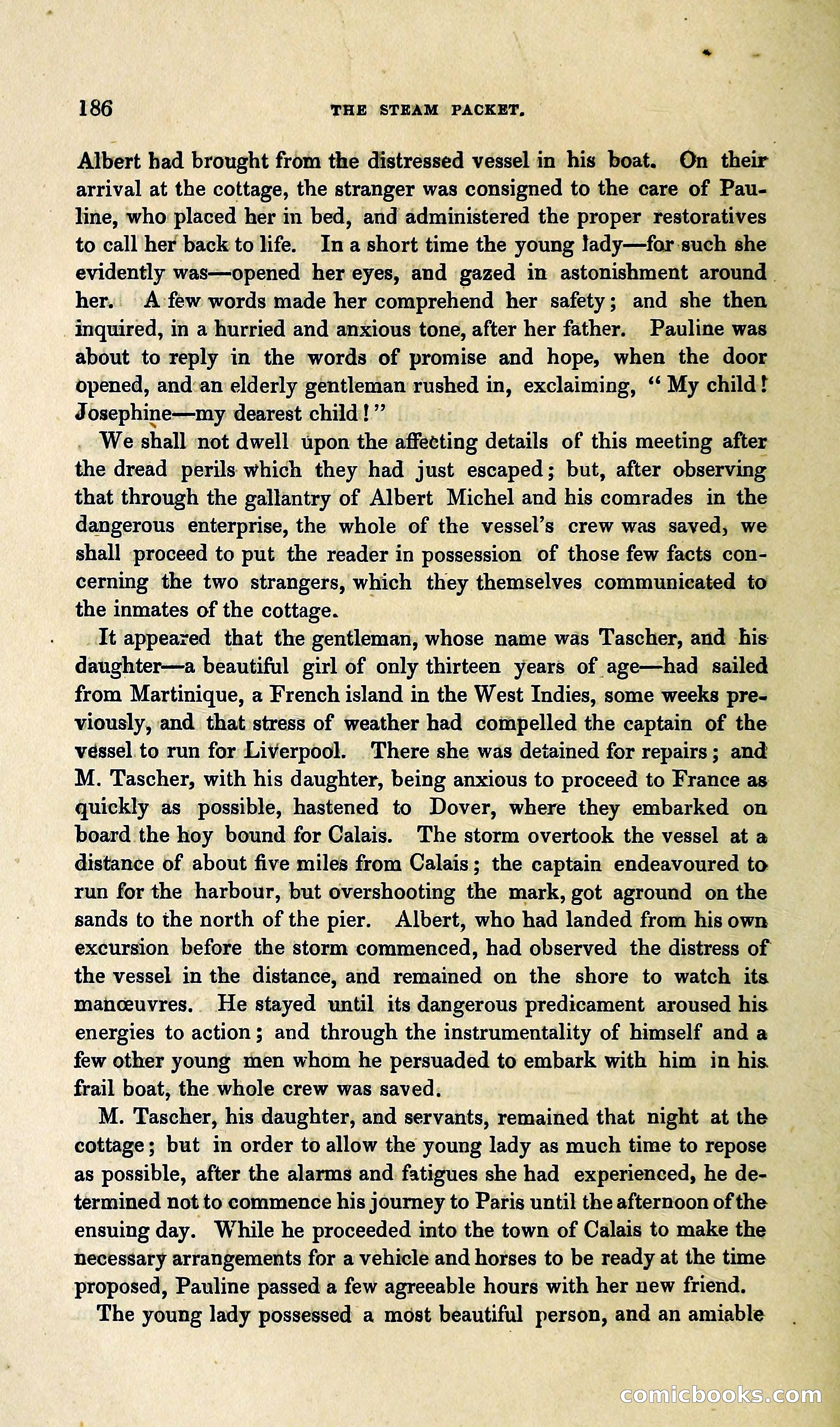 The Steam-Packet: A Tale of the River and the Ocean — page 243 of 399