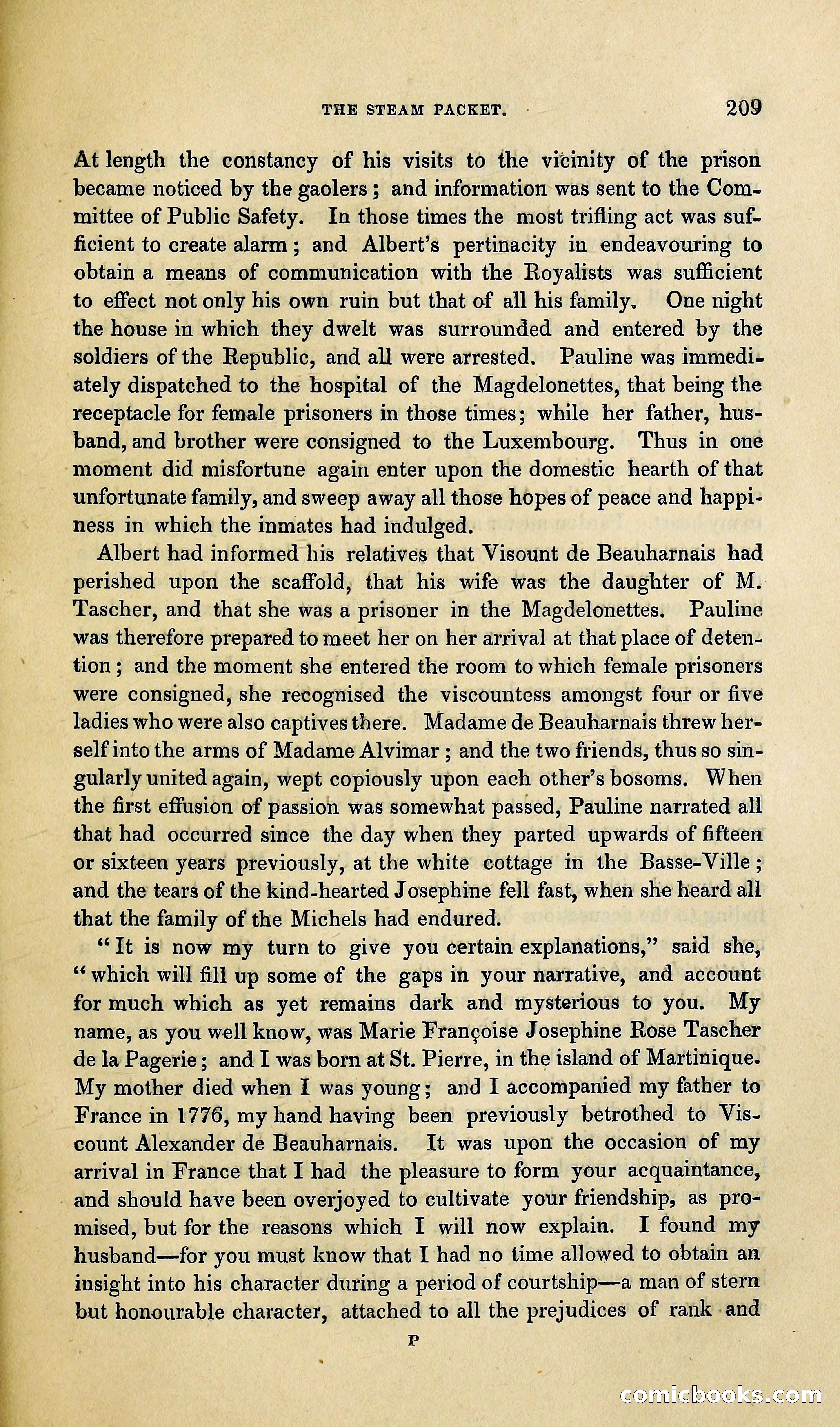 The Steam-Packet: A Tale of the River and the Ocean — page 274 of 399