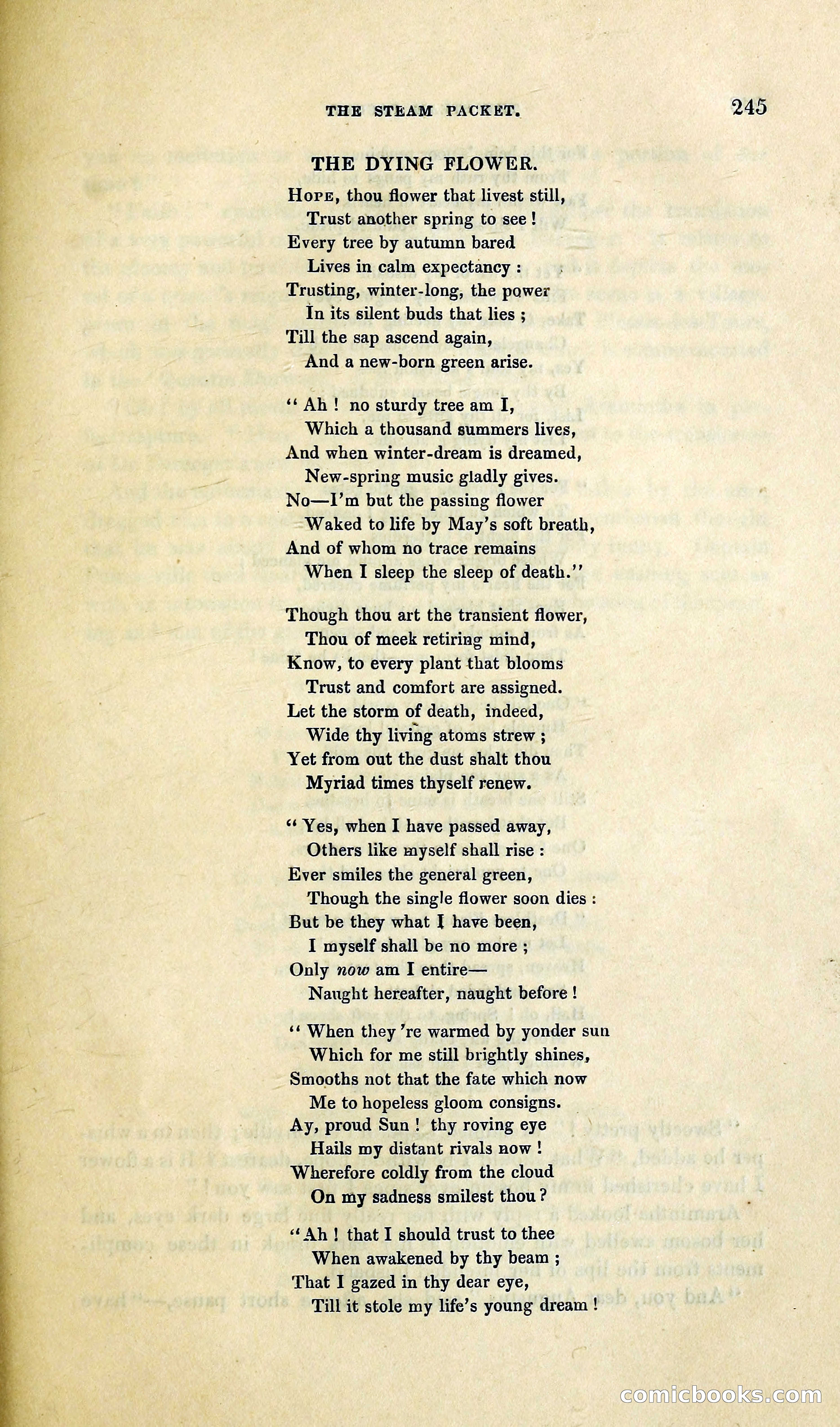 The Steam-Packet: A Tale of the River and the Ocean — page 318 of 399