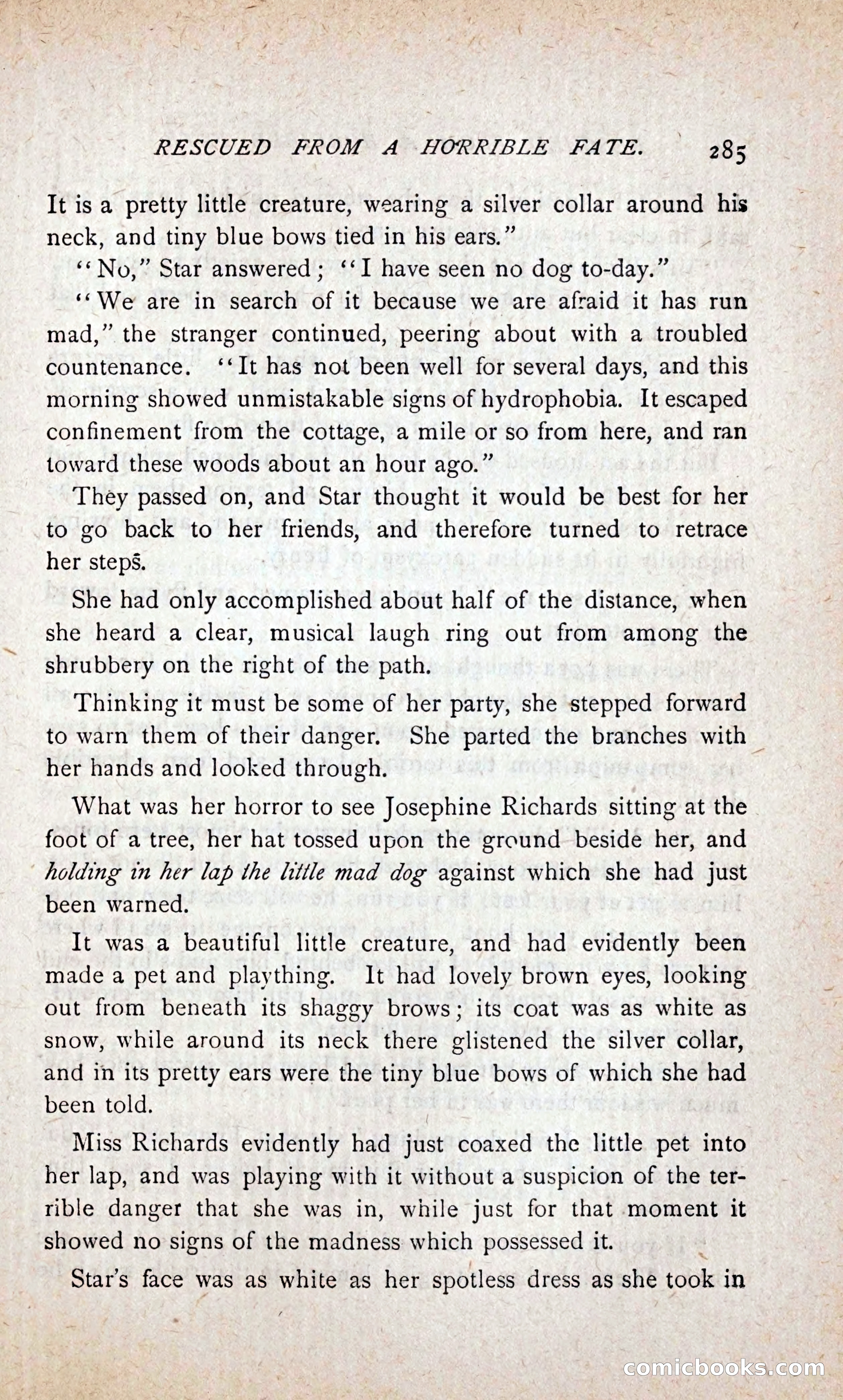 Stella Rosevelt — page 291 of 394