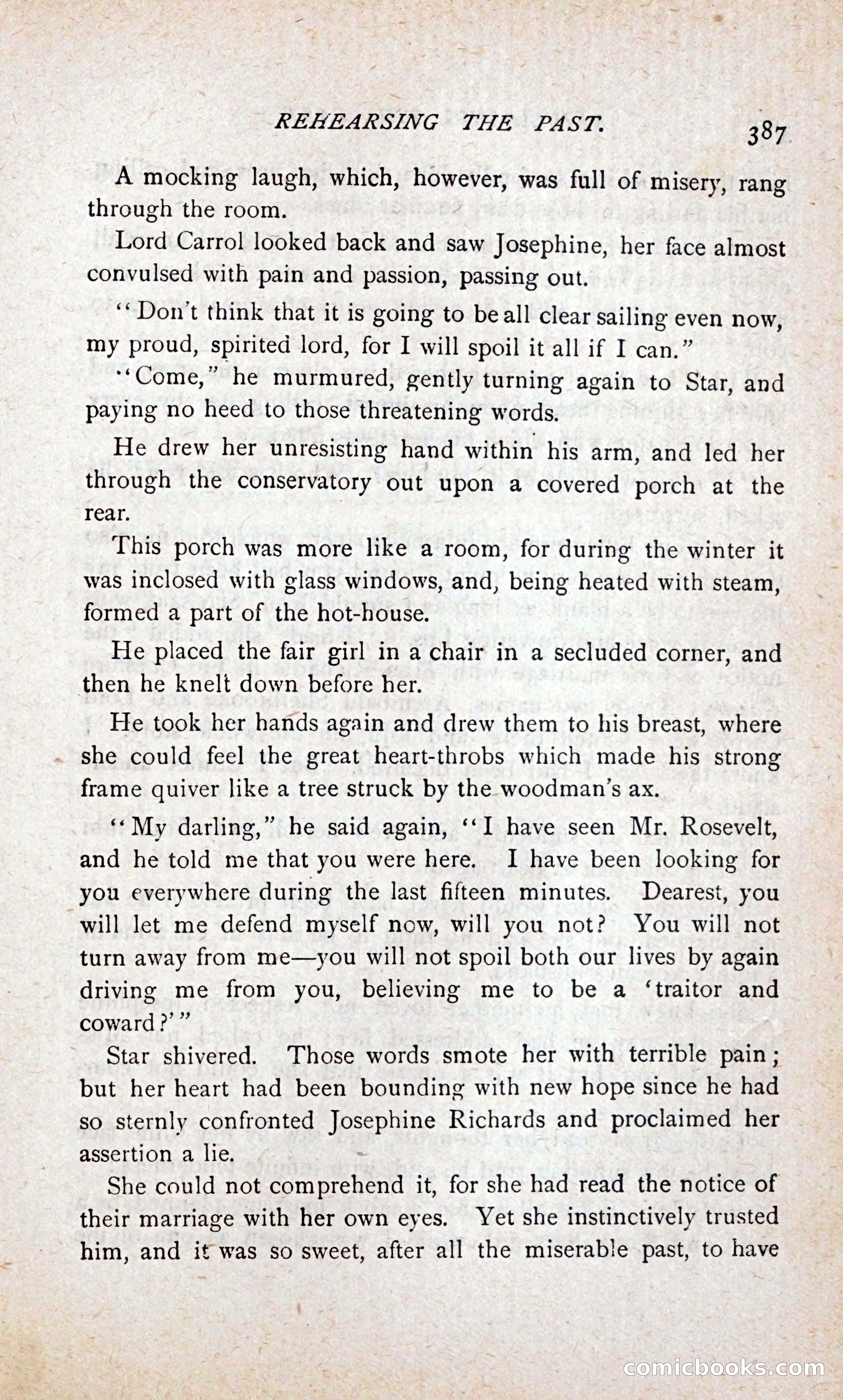 Stella Rosevelt — page 393 of 394