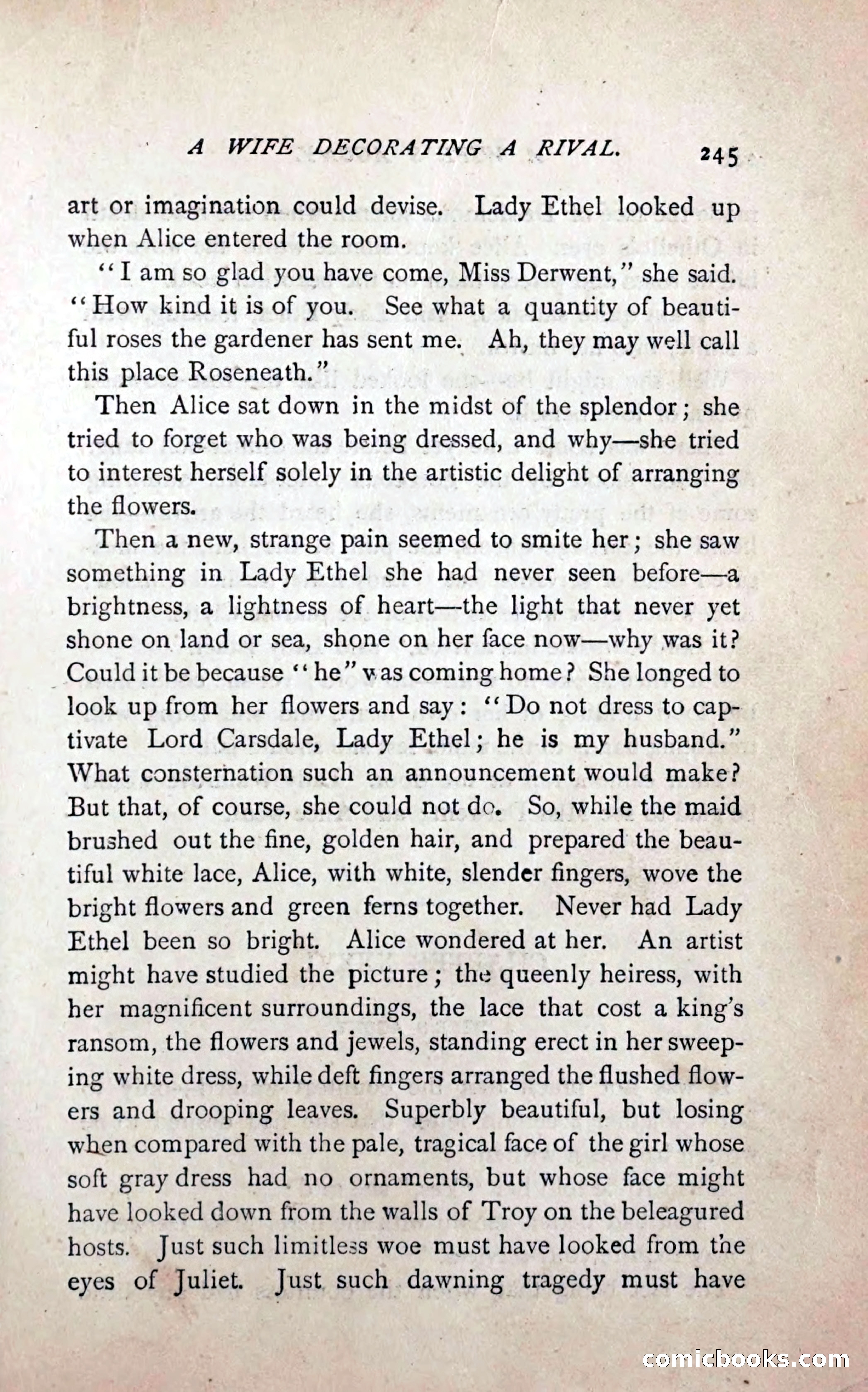 A Struggle for a Ring — page 249 of 396