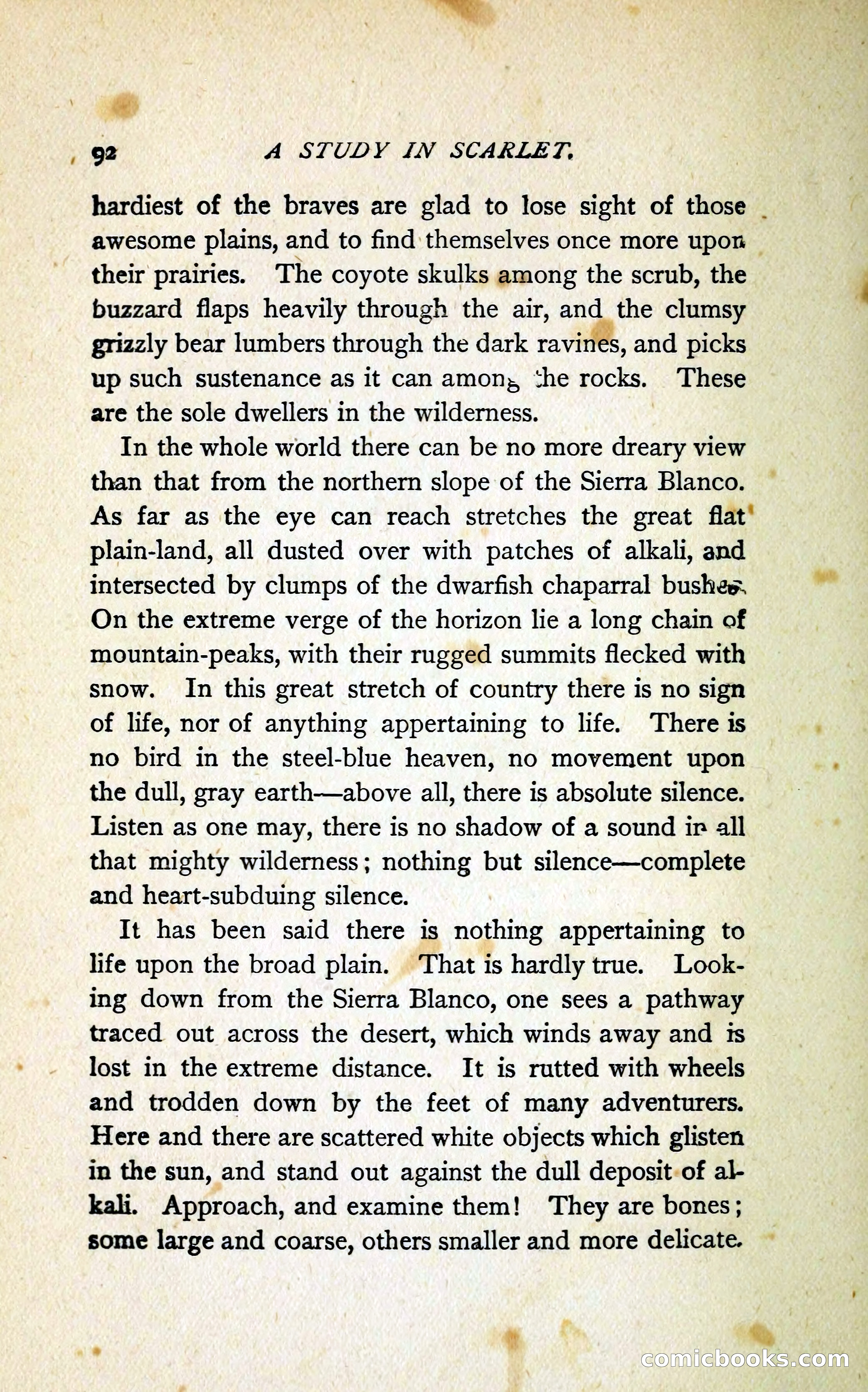 A Study in Scarlet (Serial Edition Cover) — page 100 of 196