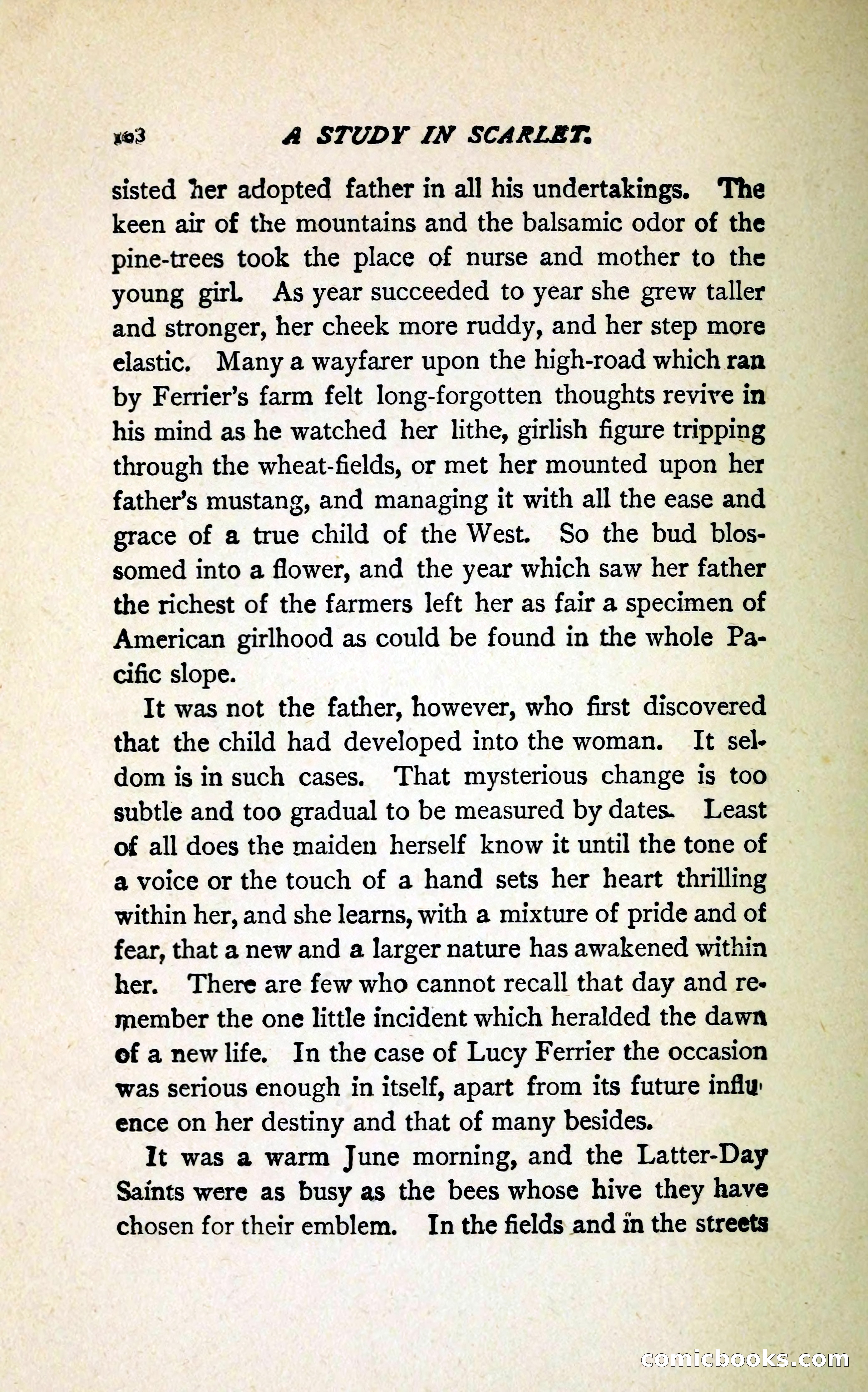A Study in Scarlet (Serial Edition Cover) — page 116 of 196