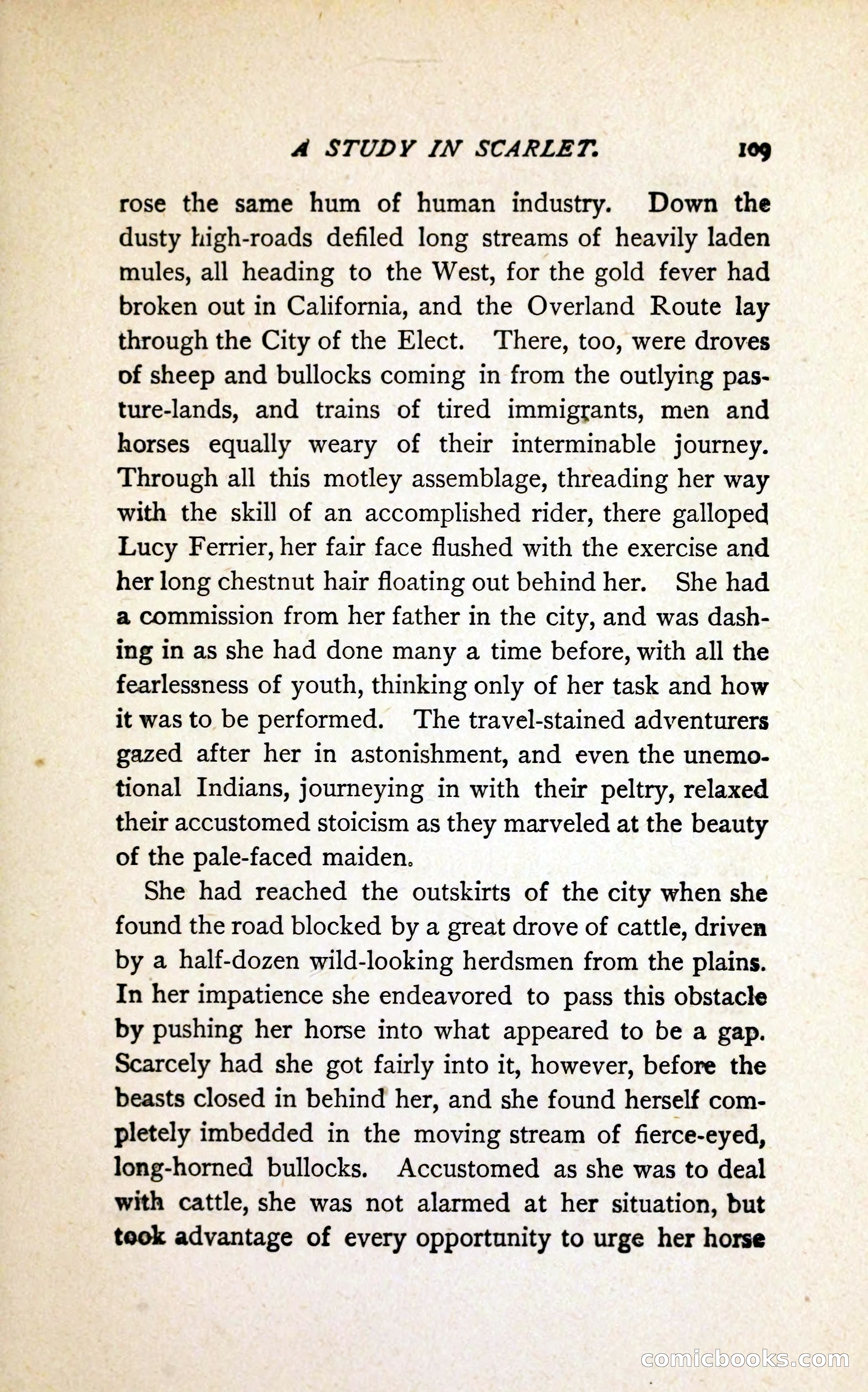 A Study in Scarlet (Serial Edition Cover) — page 117 of 196