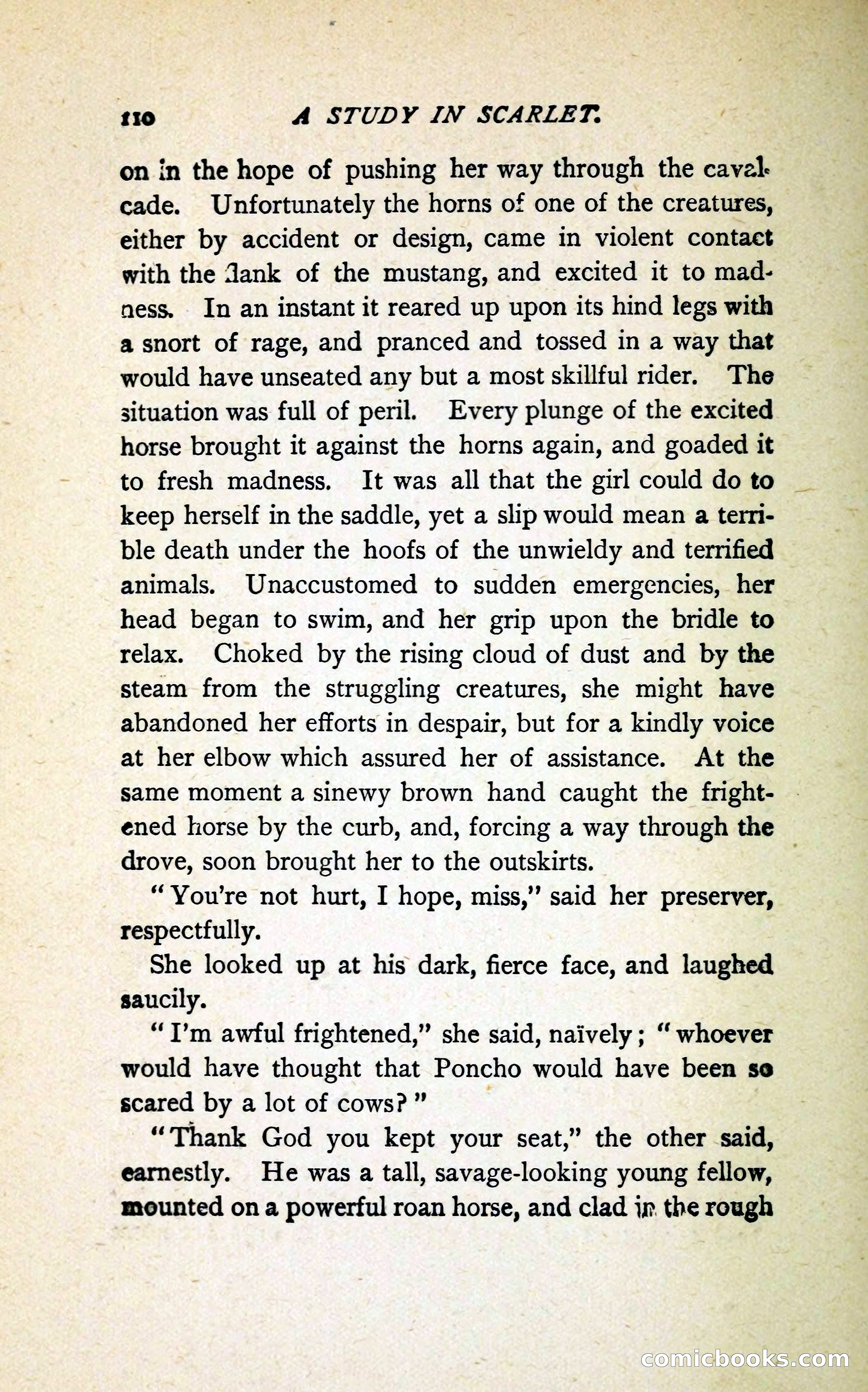 A Study in Scarlet (Serial Edition Cover) — page 118 of 196