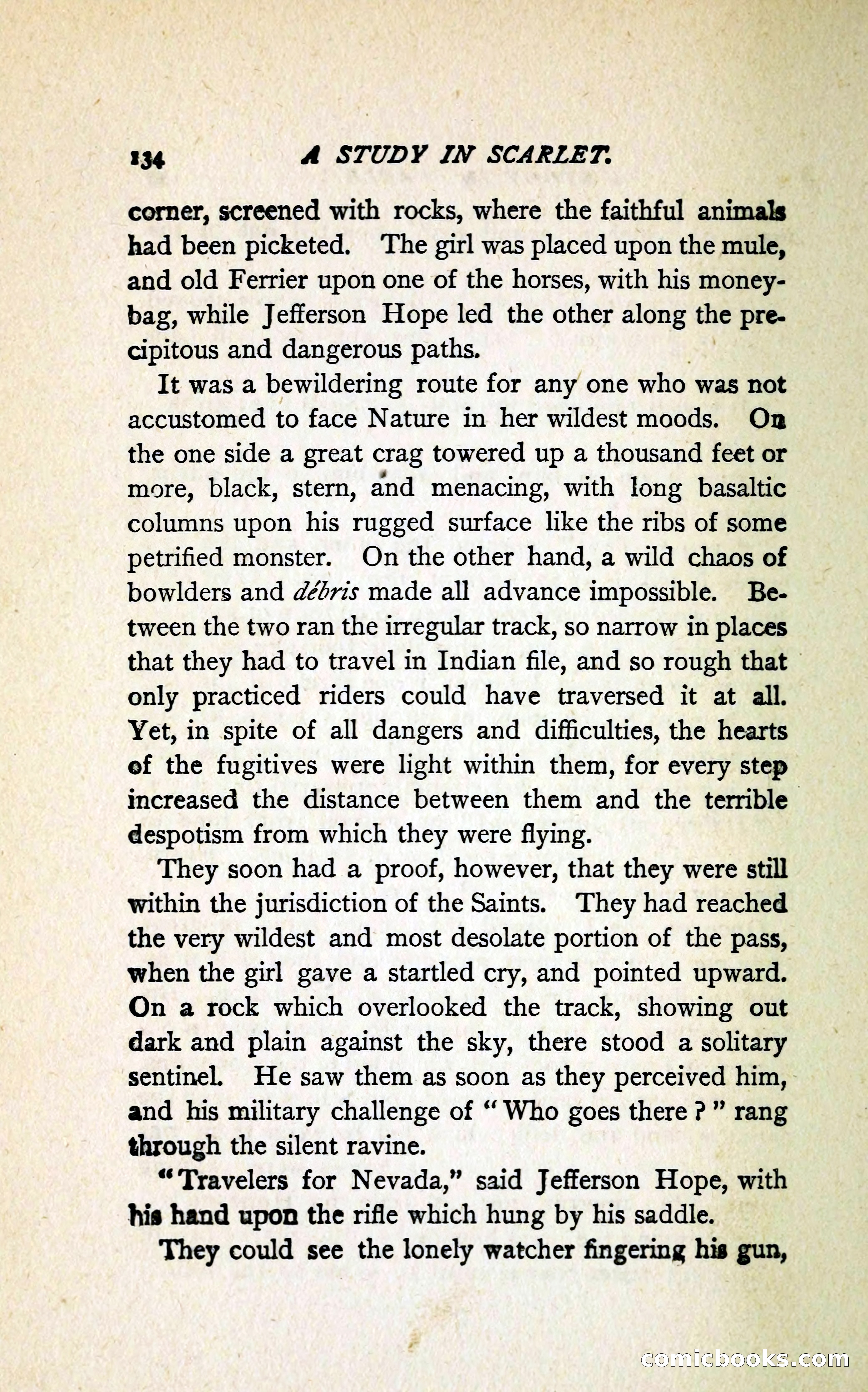 A Study in Scarlet (Serial Edition Cover) — page 142 of 196