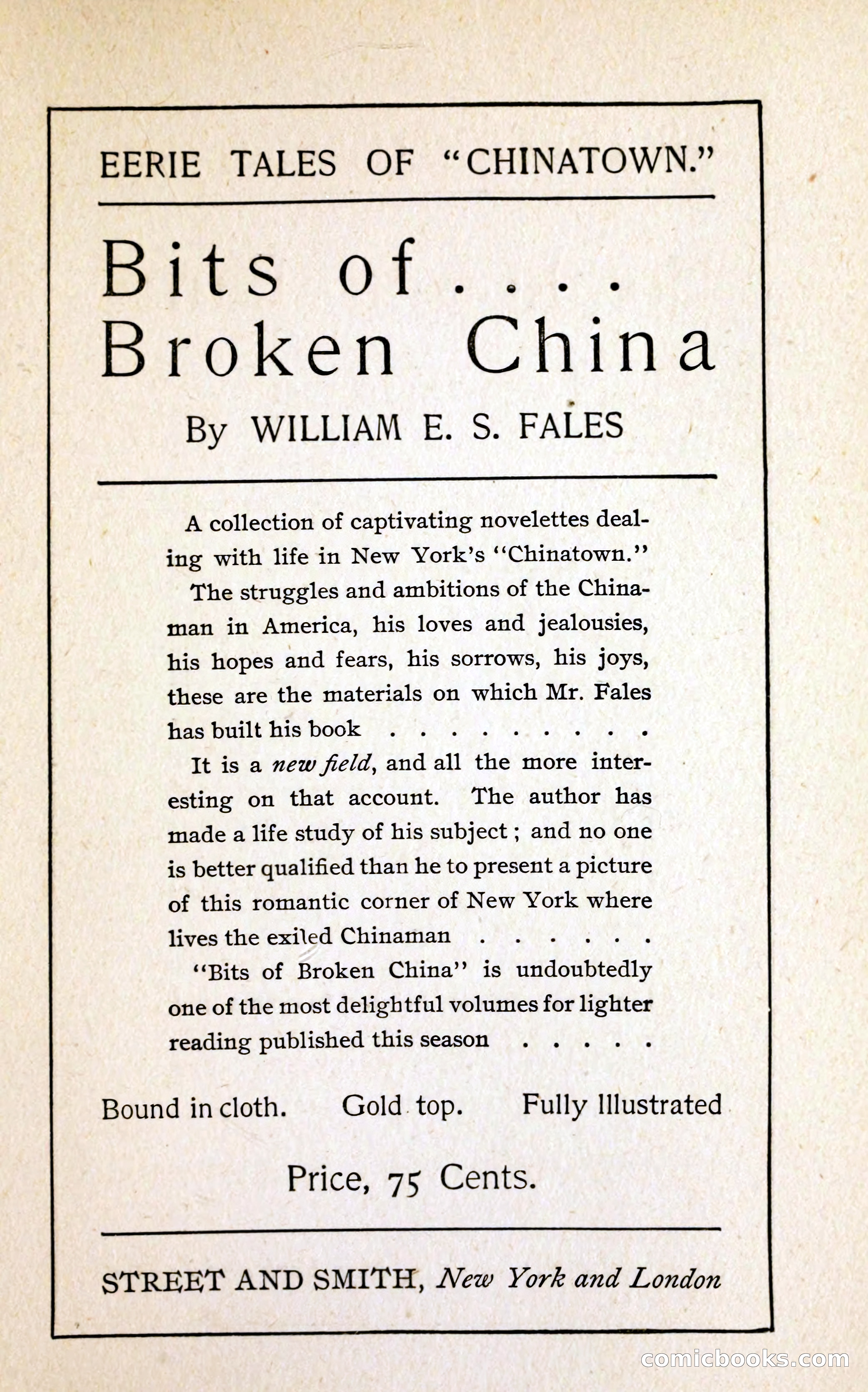 A Study in Scarlet (Serial Edition Cover) — page 187 of 196
