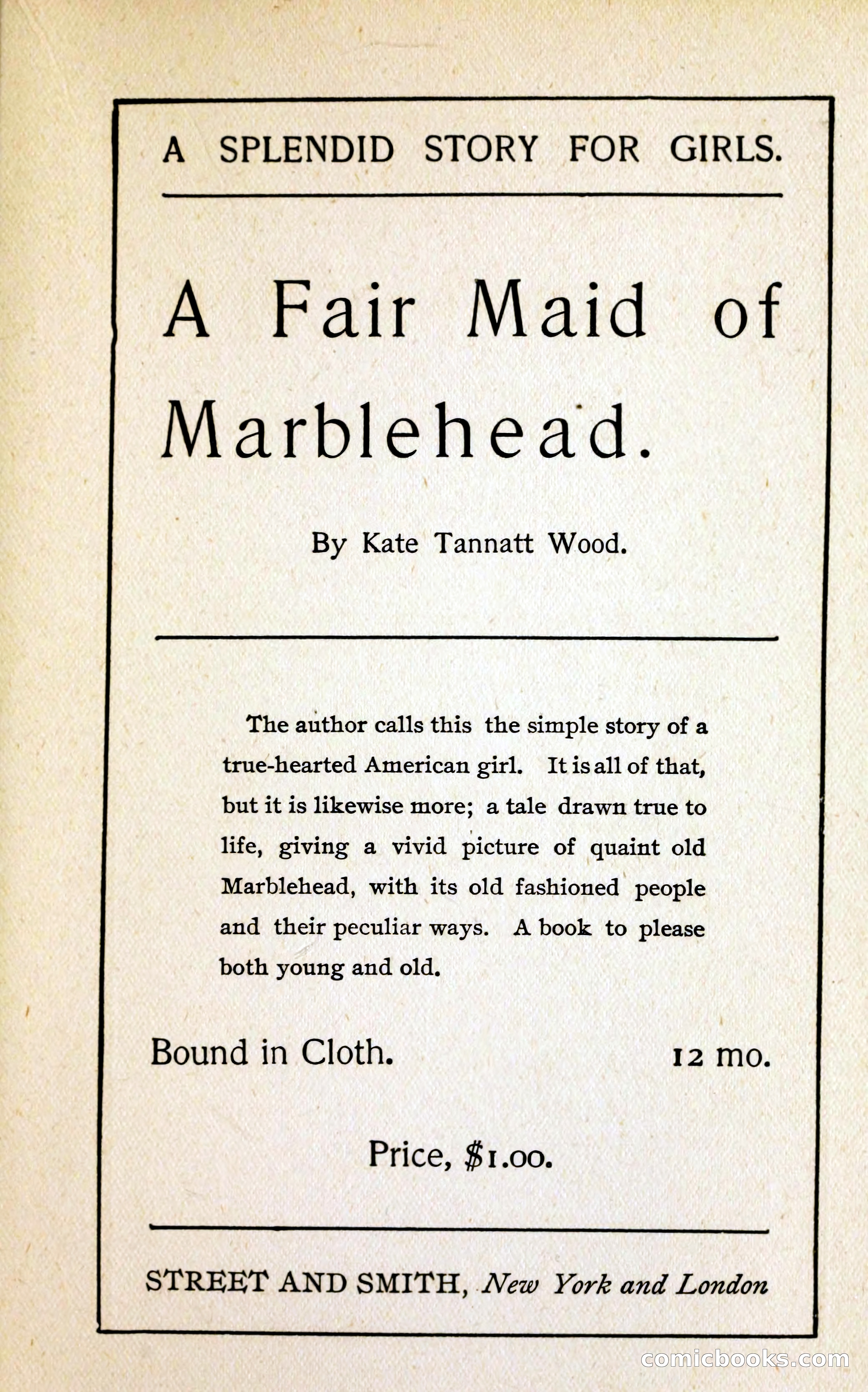 A Study in Scarlet (Serial Edition Cover) — page 189 of 196