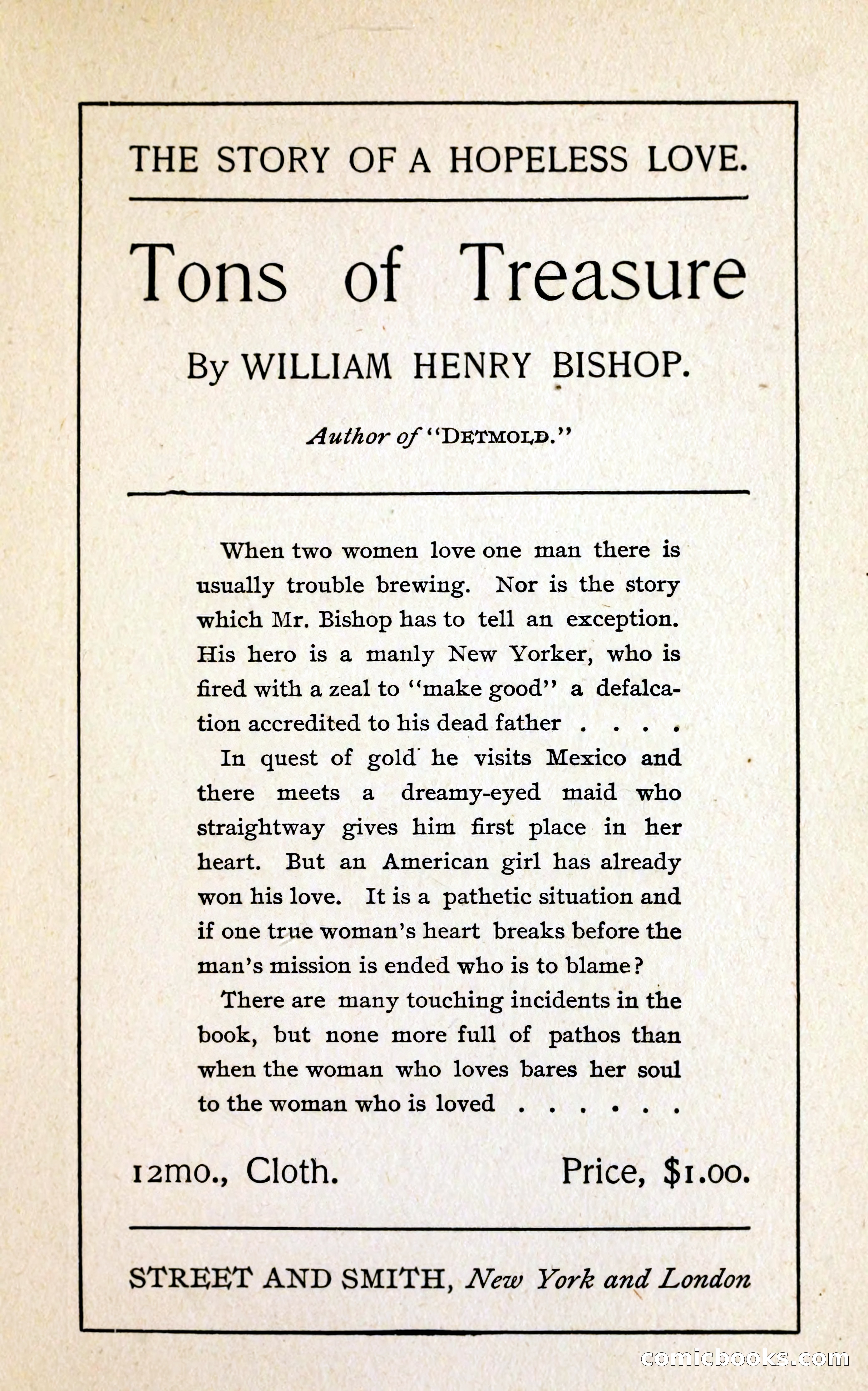 A Study in Scarlet (Serial Edition Cover) — page 191 of 196