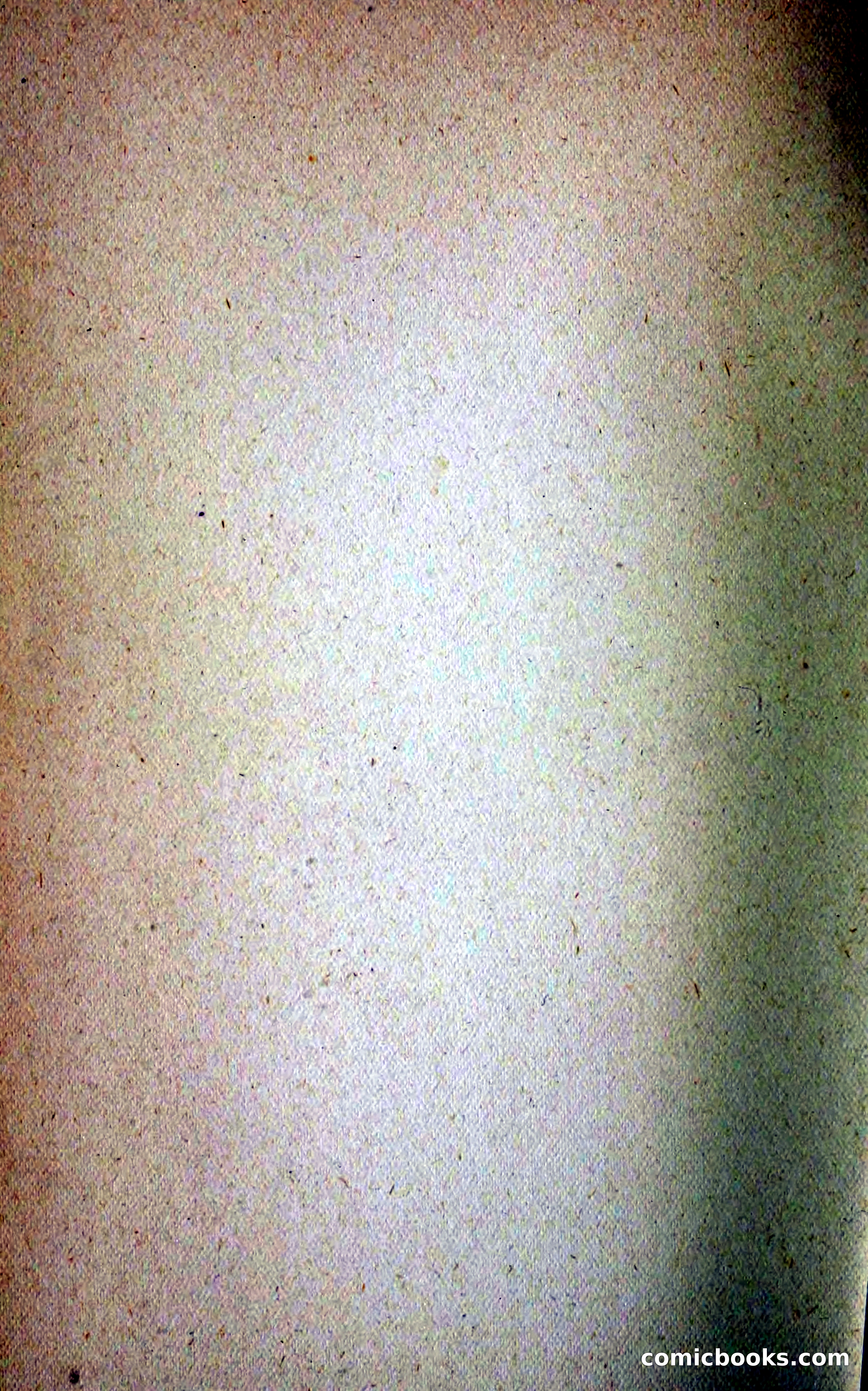 A Study in Scarlet (Serial Edition Cover) — page 196 of 196