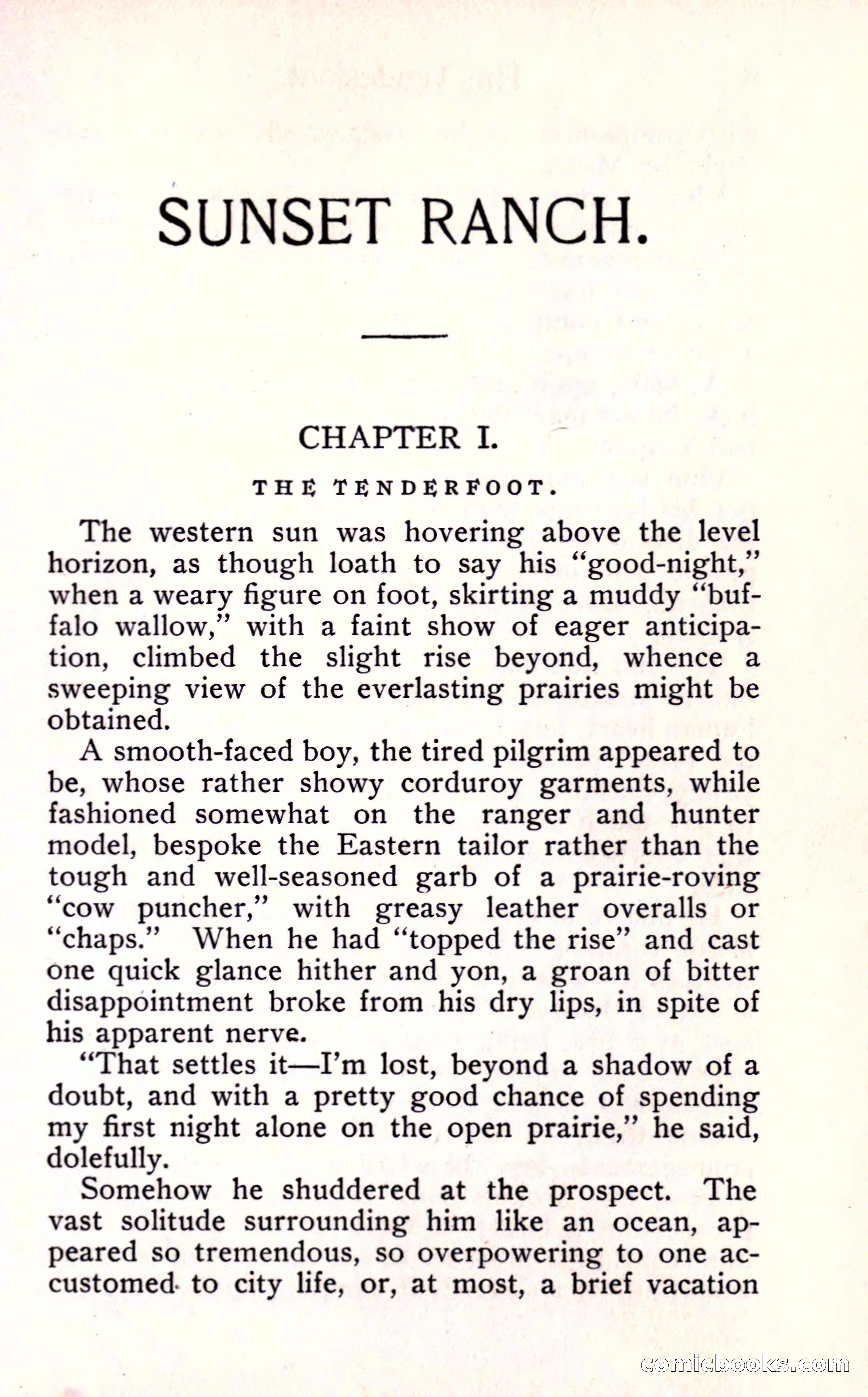 Sunset Ranch: A Story of a Boy's Adventures in the West — page 13 of 291