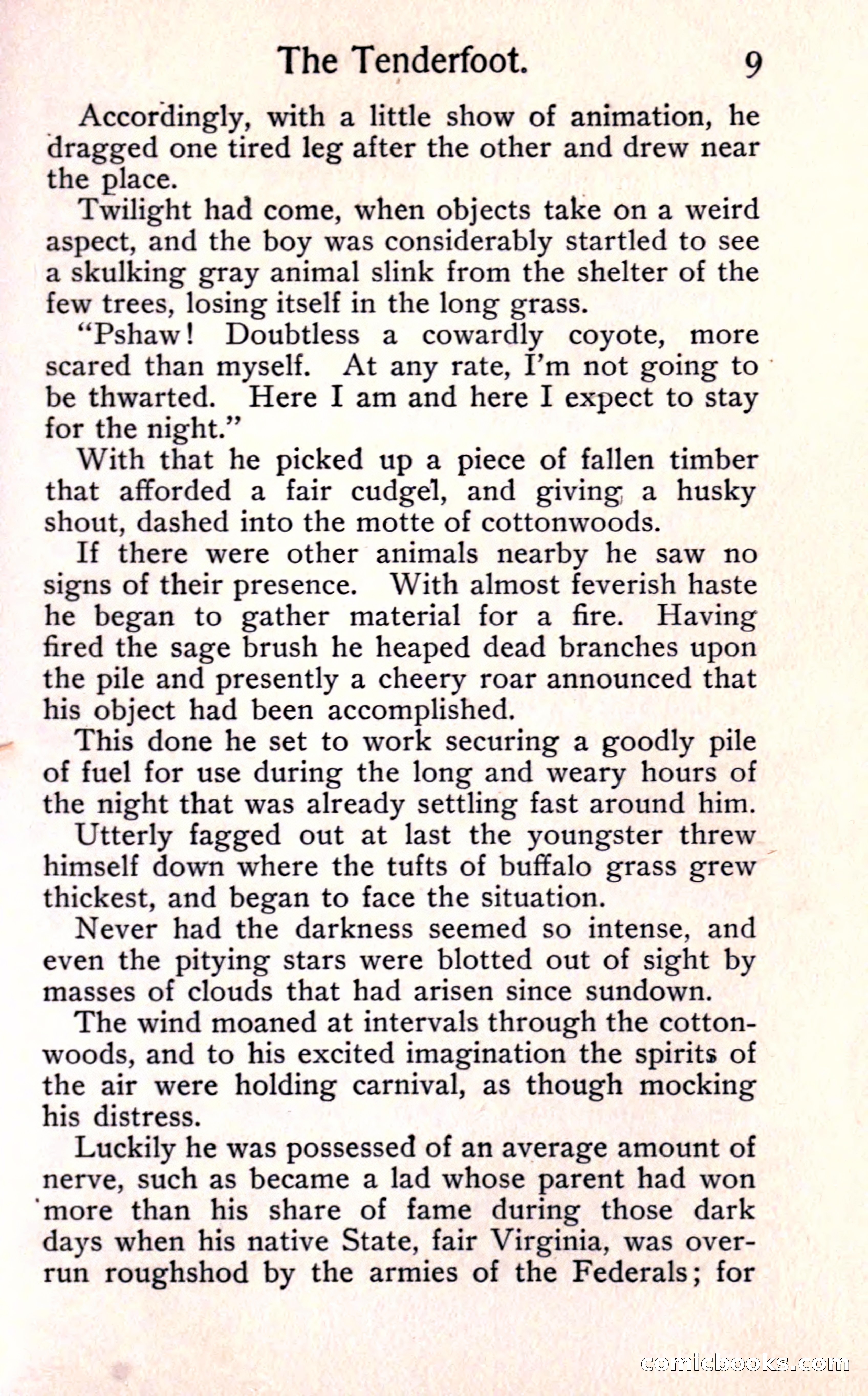 Sunset Ranch: A Story of a Boy's Adventures in the West — page 15 of 291