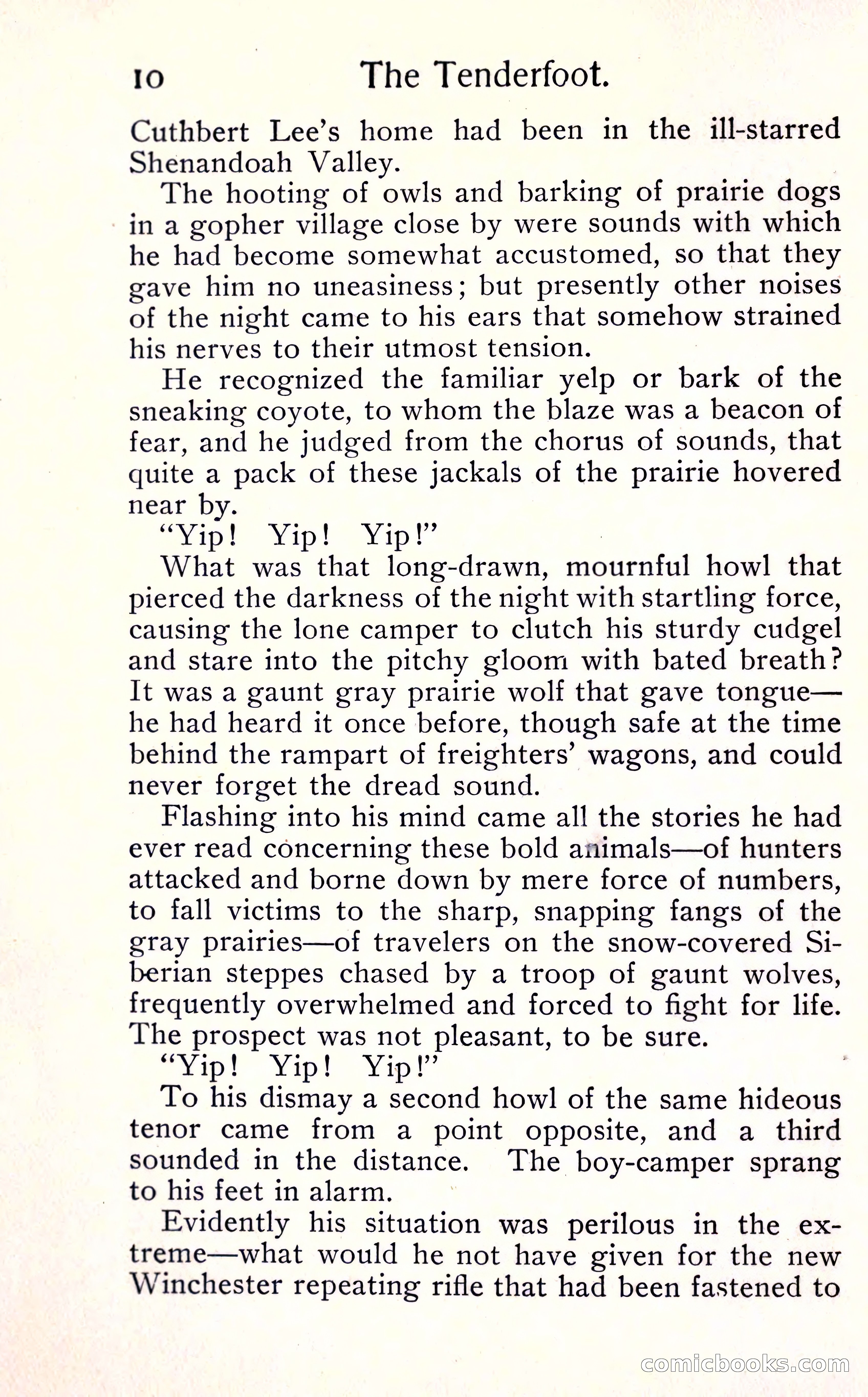 Sunset Ranch: A Story of a Boy's Adventures in the West — page 16 of 291