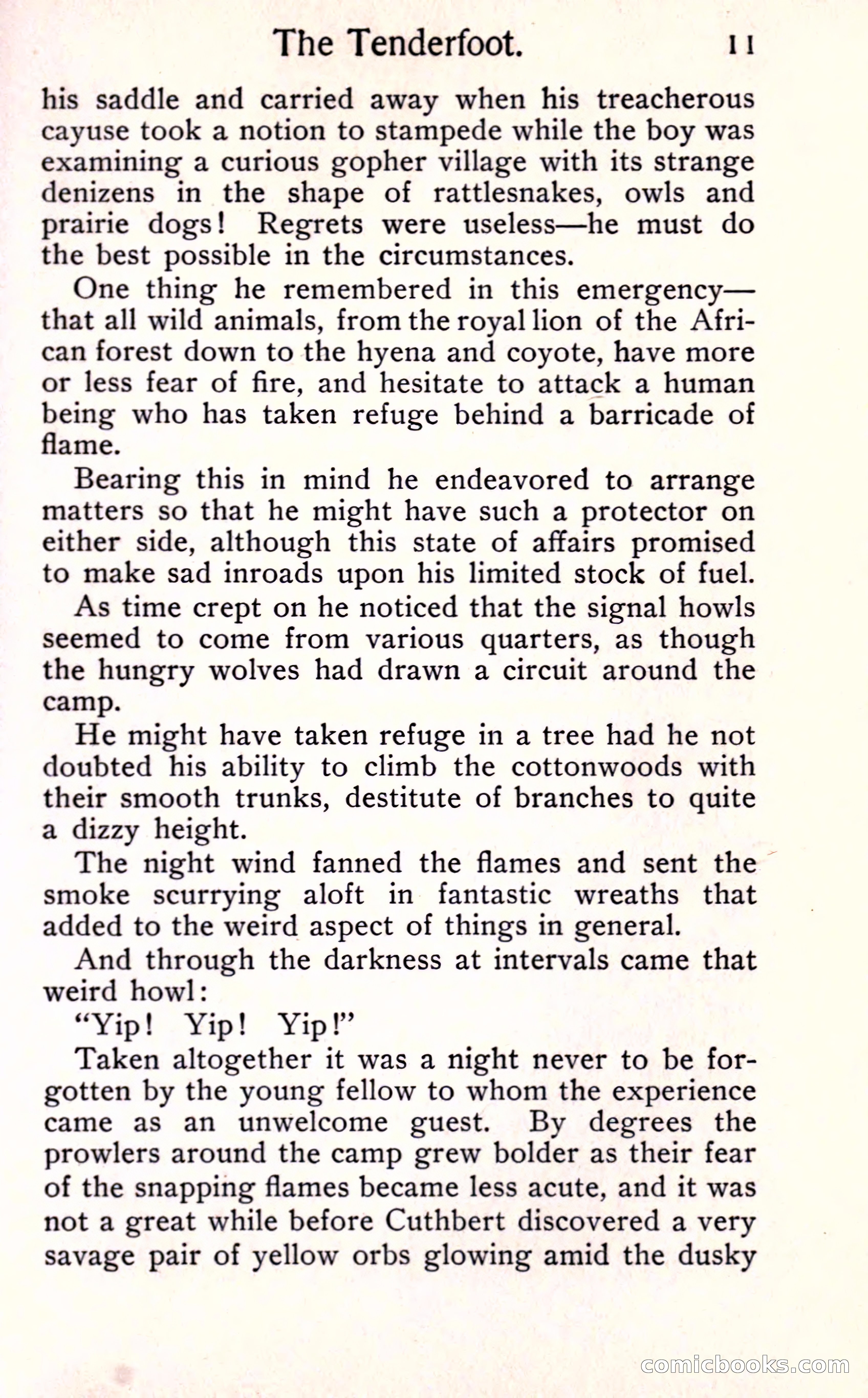 Sunset Ranch: A Story of a Boy's Adventures in the West — page 17 of 291