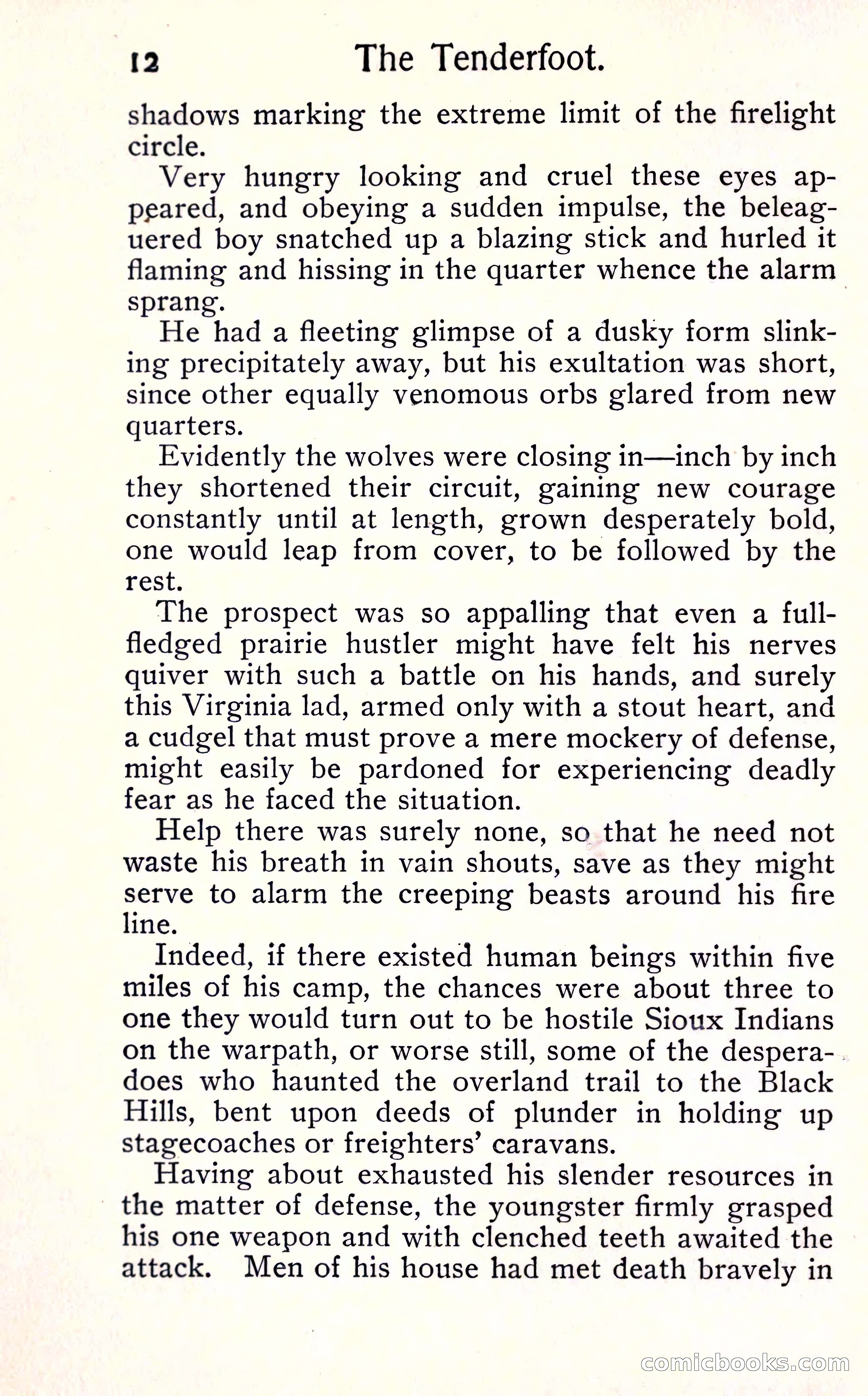 Sunset Ranch: A Story of a Boy's Adventures in the West — page 18 of 291