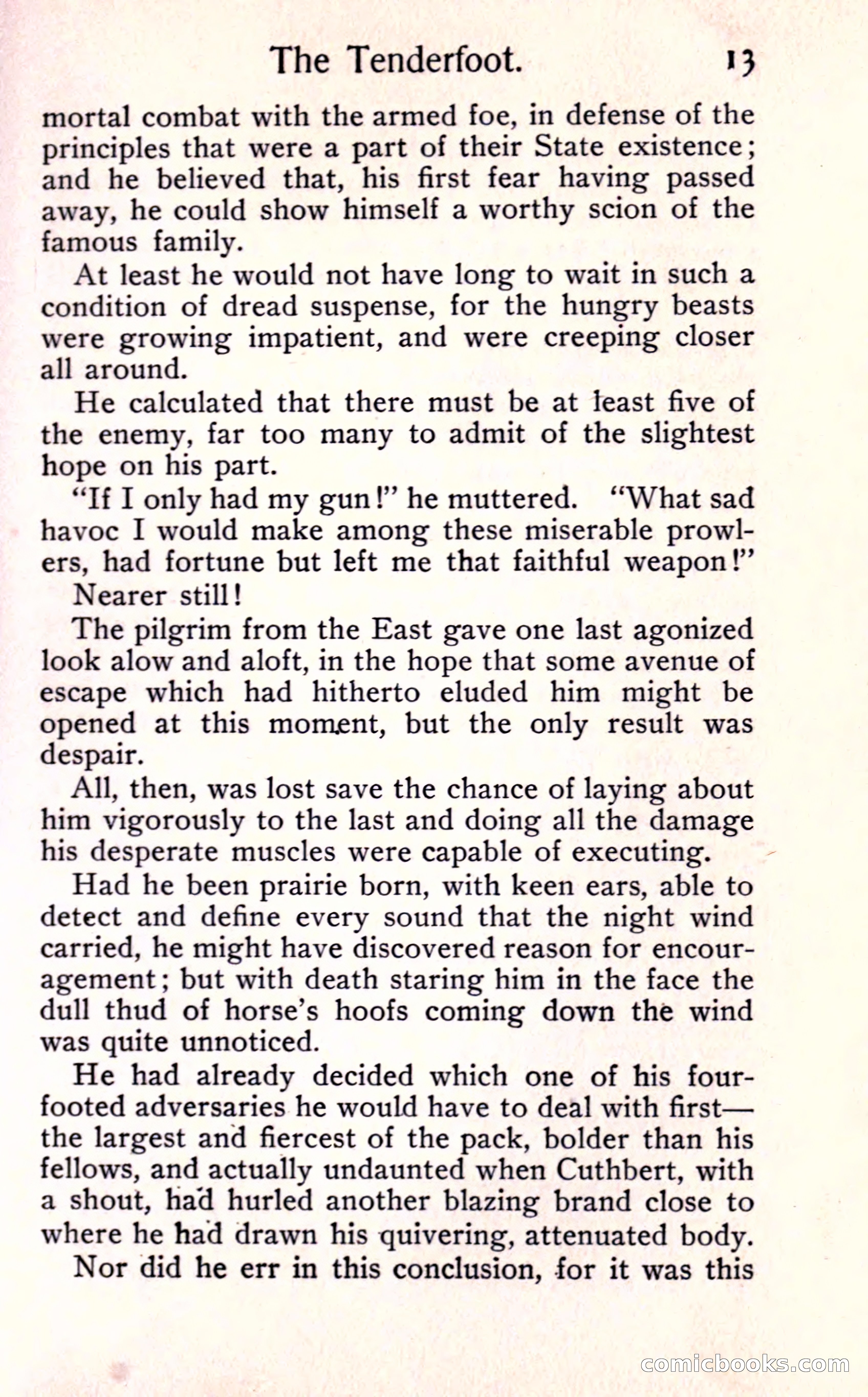 Sunset Ranch: A Story of a Boy's Adventures in the West — page 19 of 291