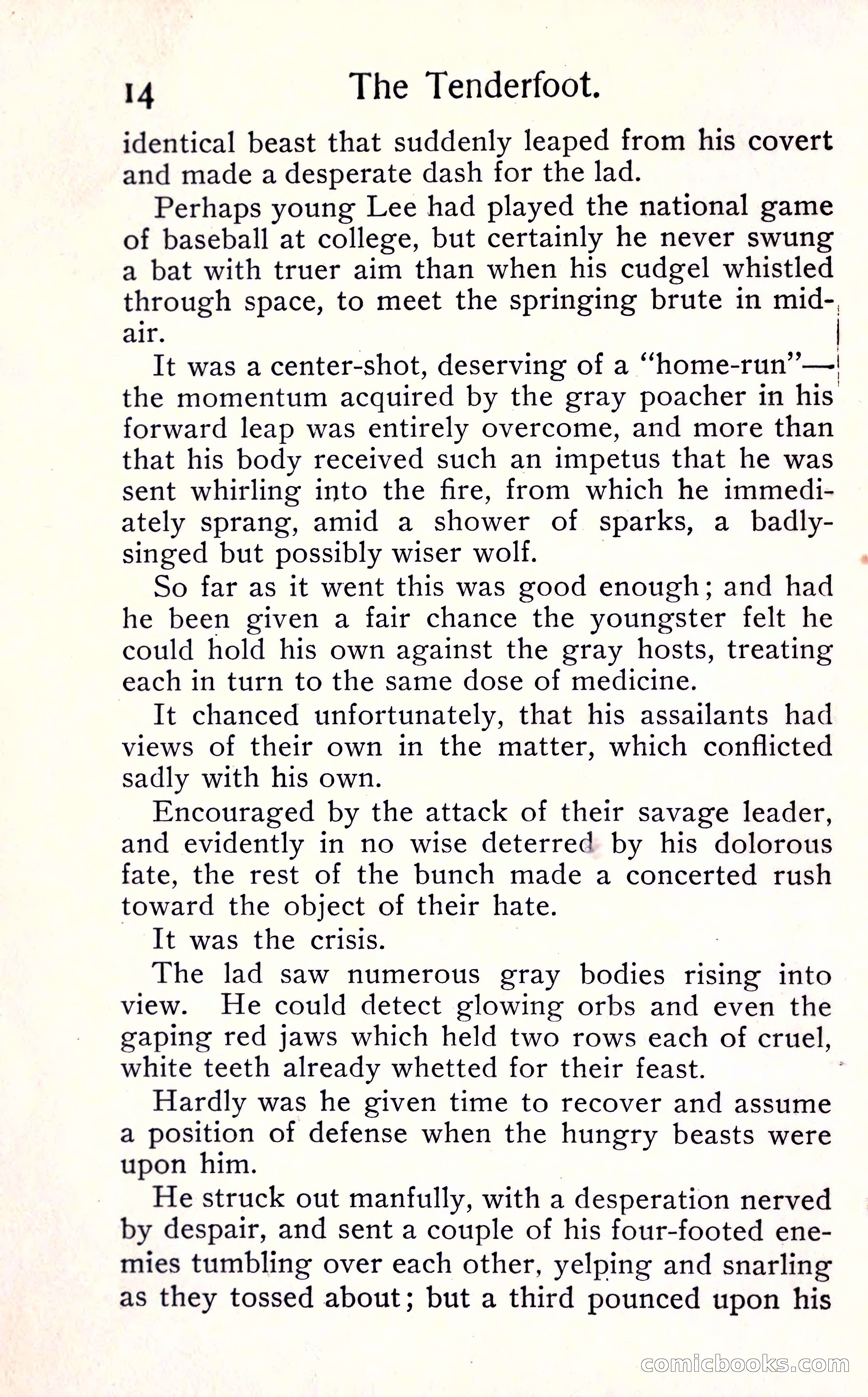Sunset Ranch: A Story of a Boy's Adventures in the West — page 20 of 291