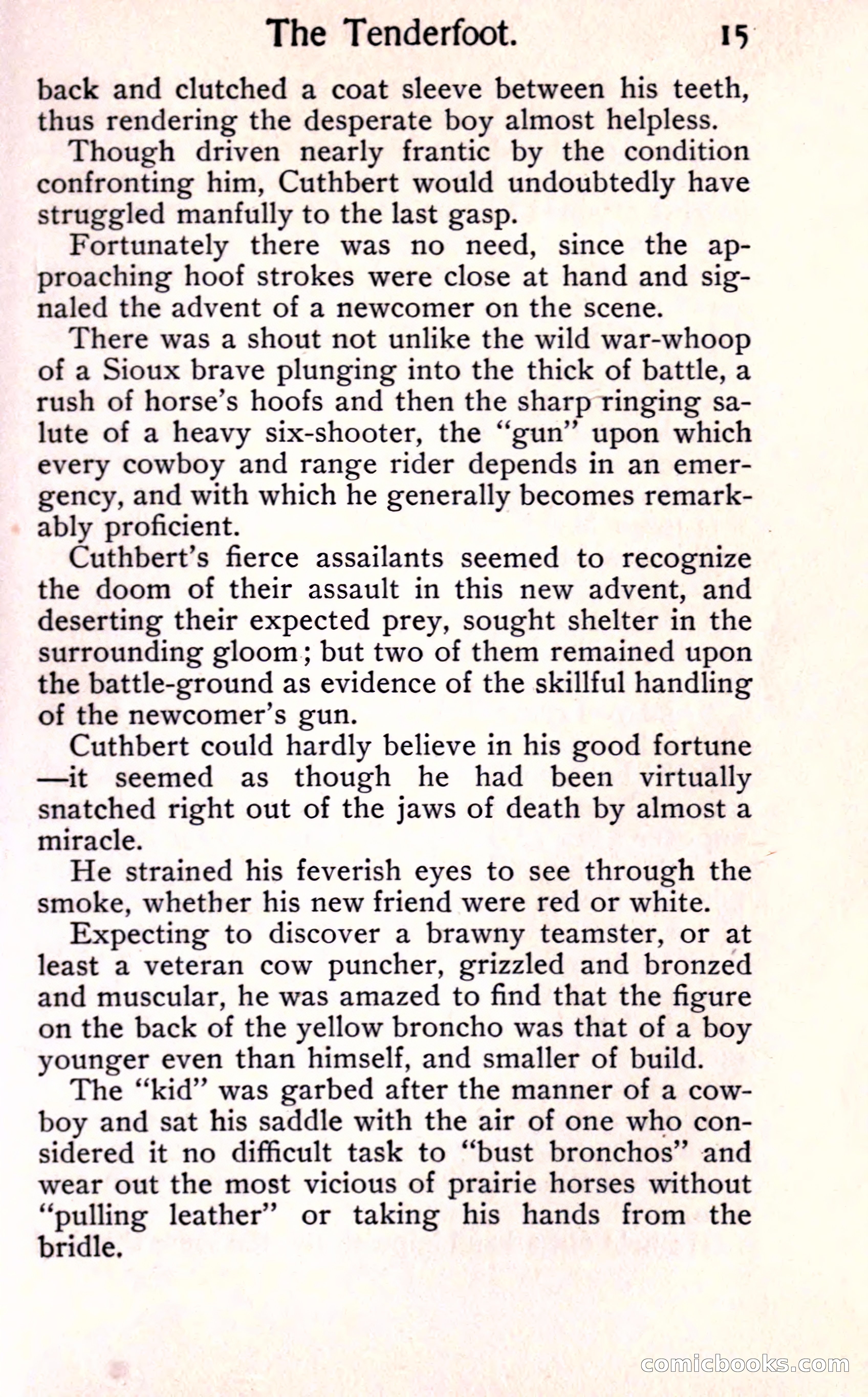 Sunset Ranch: A Story of a Boy's Adventures in the West — page 21 of 291