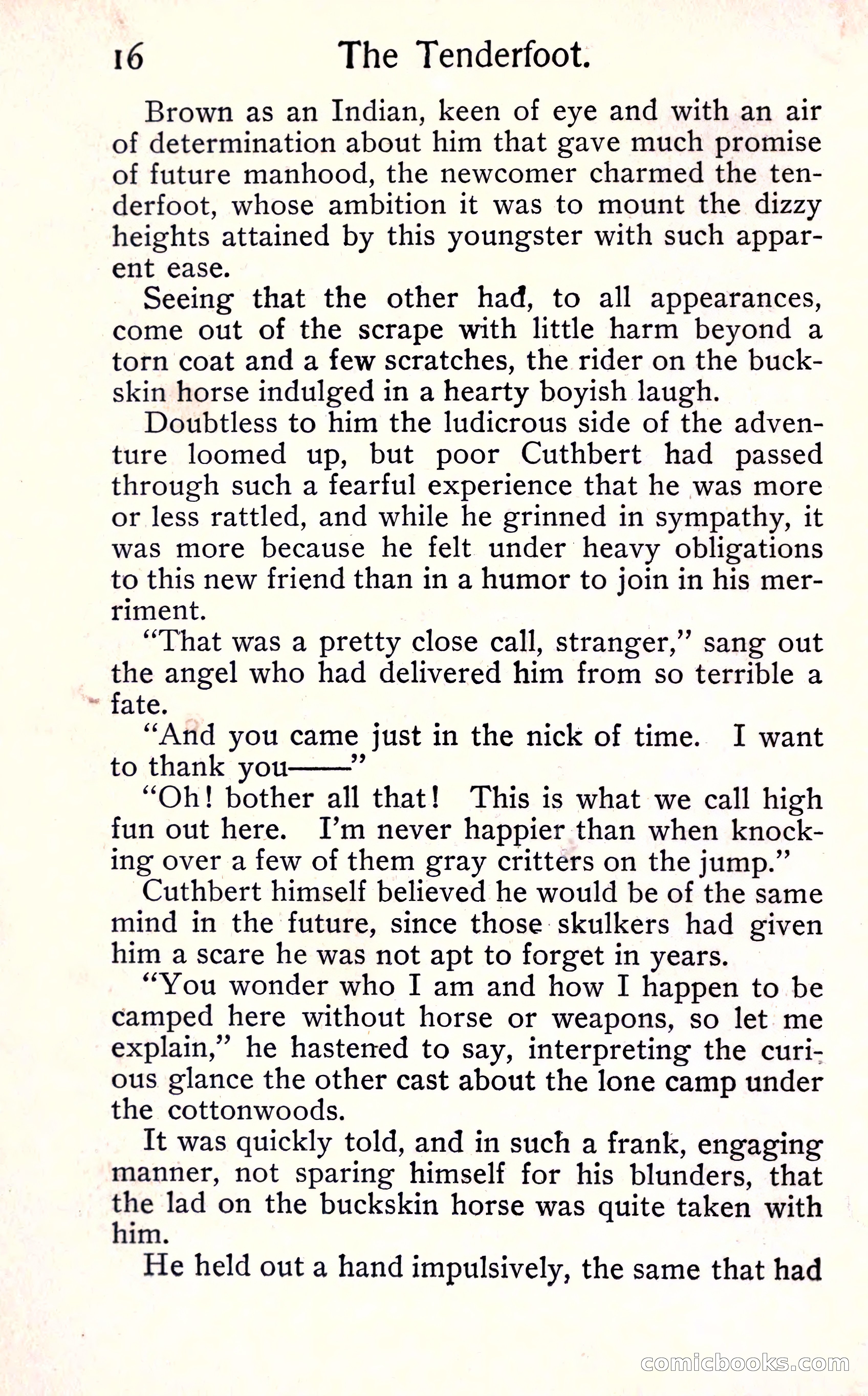 Sunset Ranch: A Story of a Boy's Adventures in the West — page 22 of 291