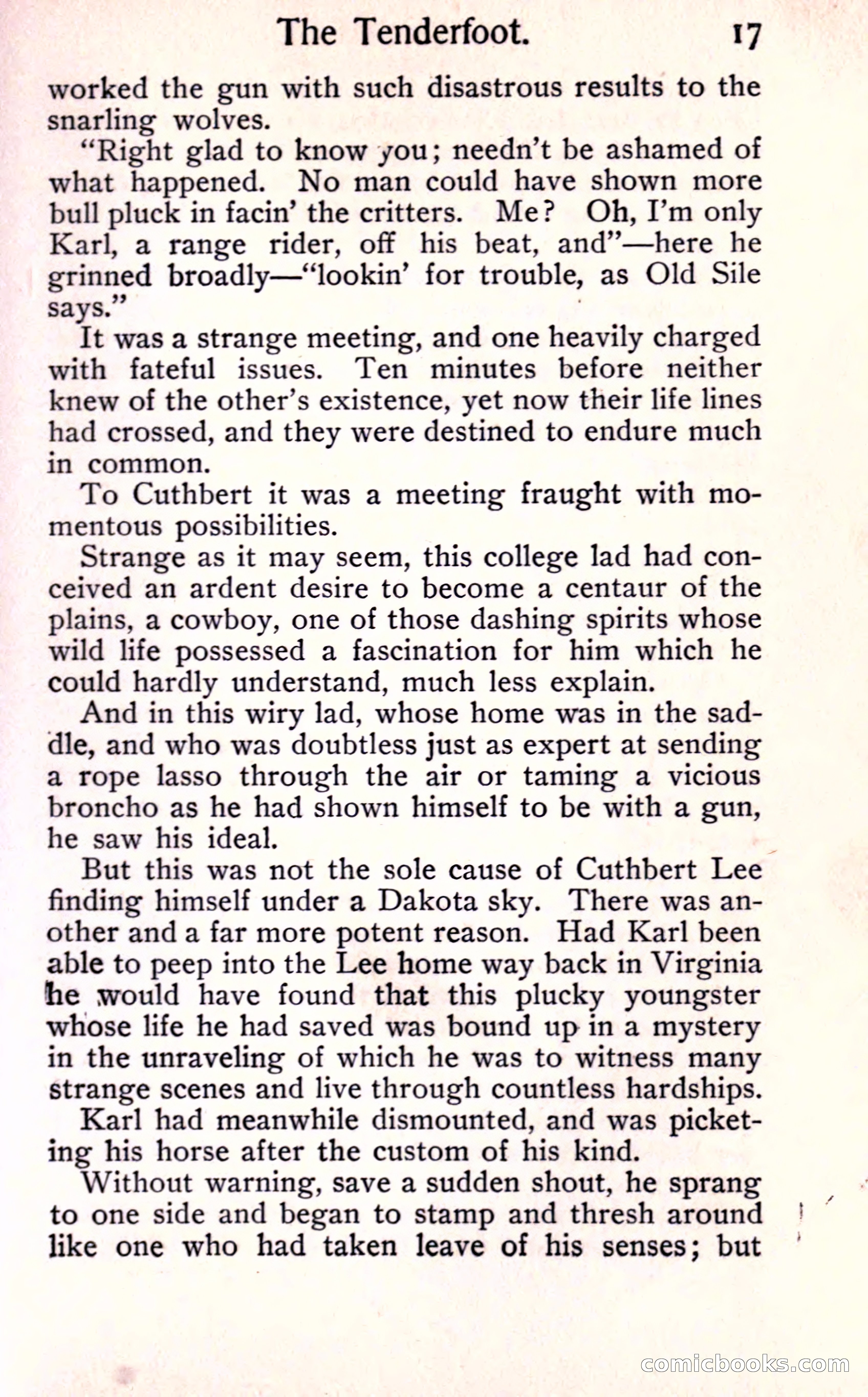 Sunset Ranch: A Story of a Boy's Adventures in the West — page 23 of 291