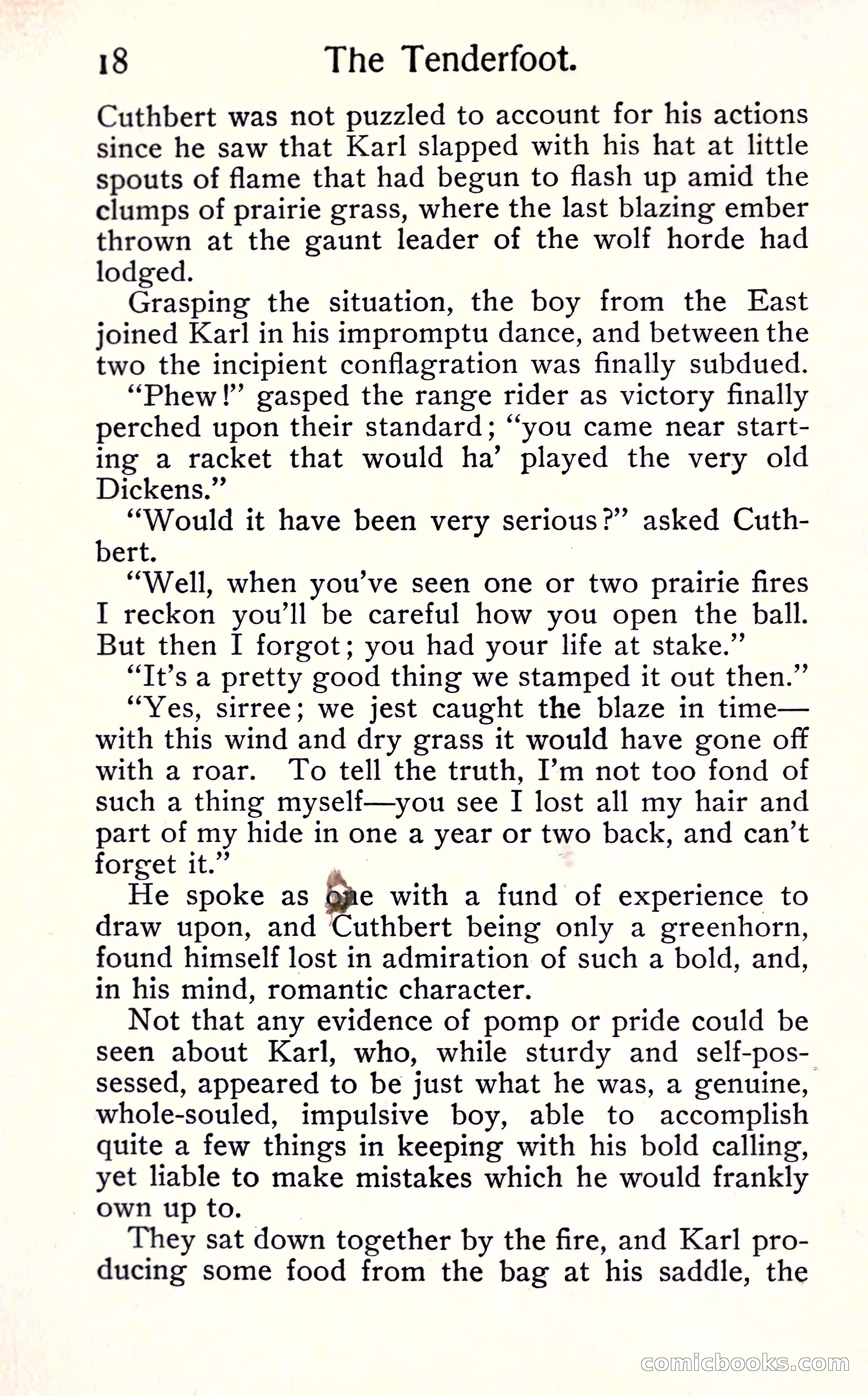 Sunset Ranch: A Story of a Boy's Adventures in the West — page 24 of 291