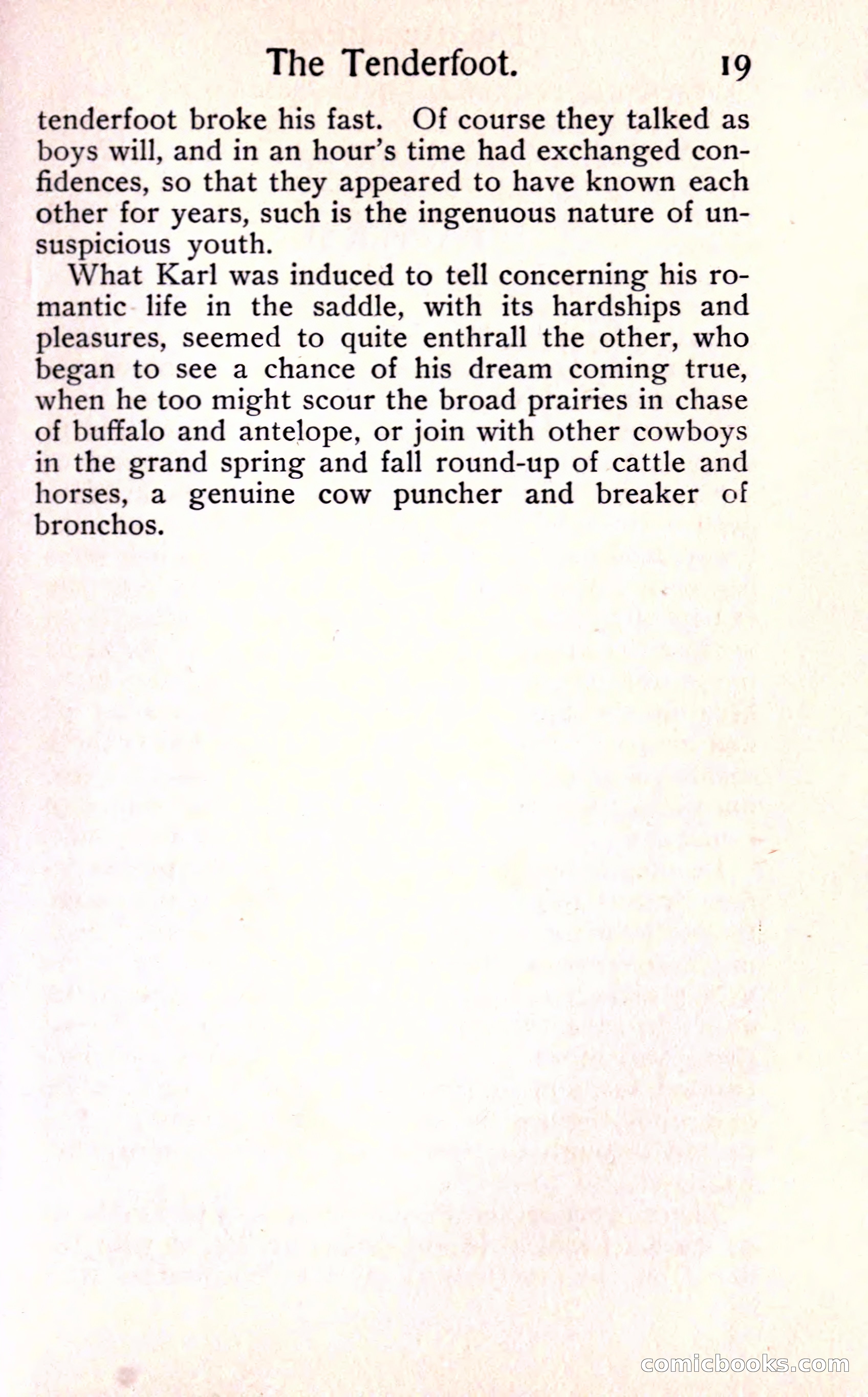 Sunset Ranch: A Story of a Boy's Adventures in the West — page 25 of 291