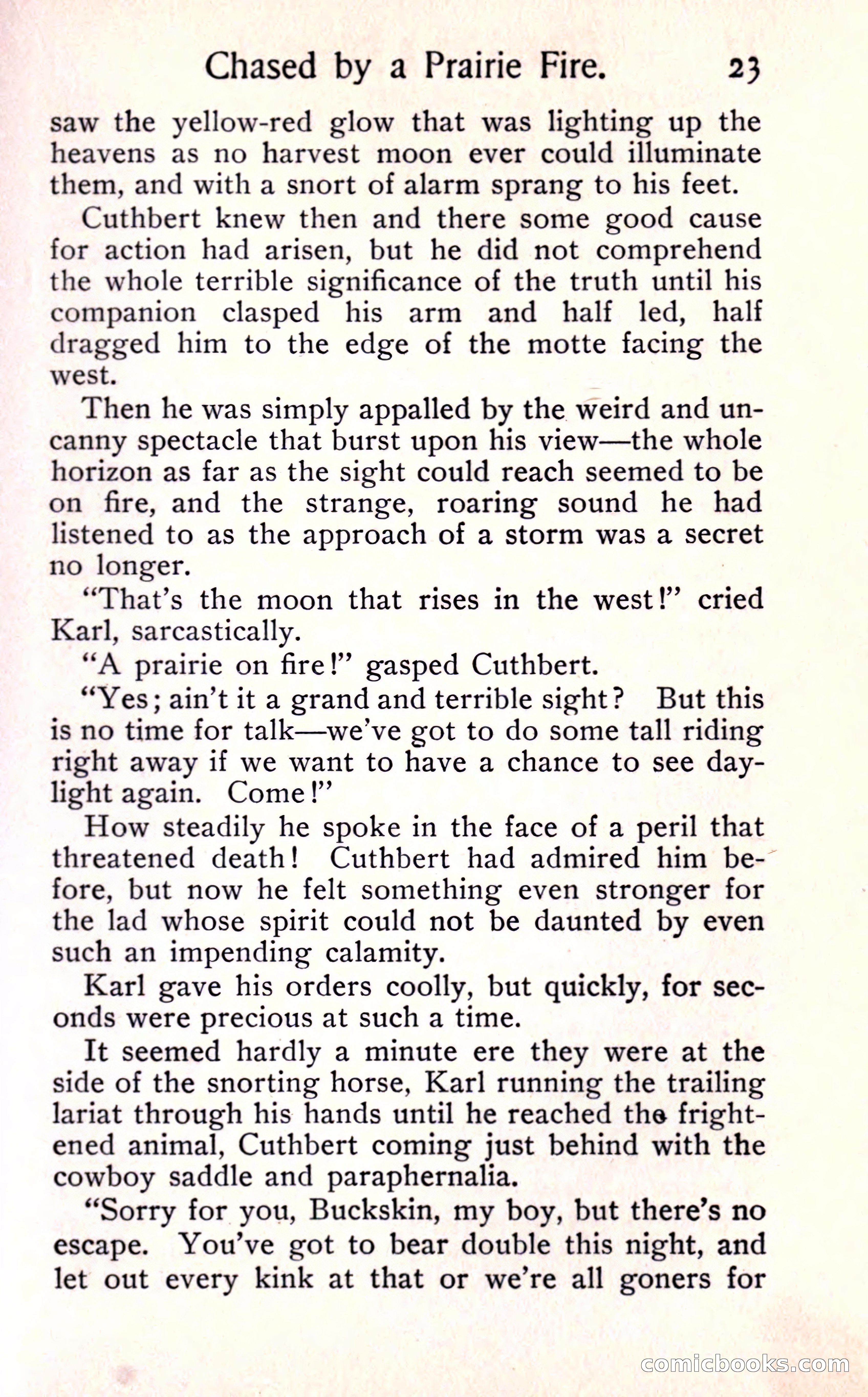 Sunset Ranch: A Story of a Boy's Adventures in the West — page 29 of 291