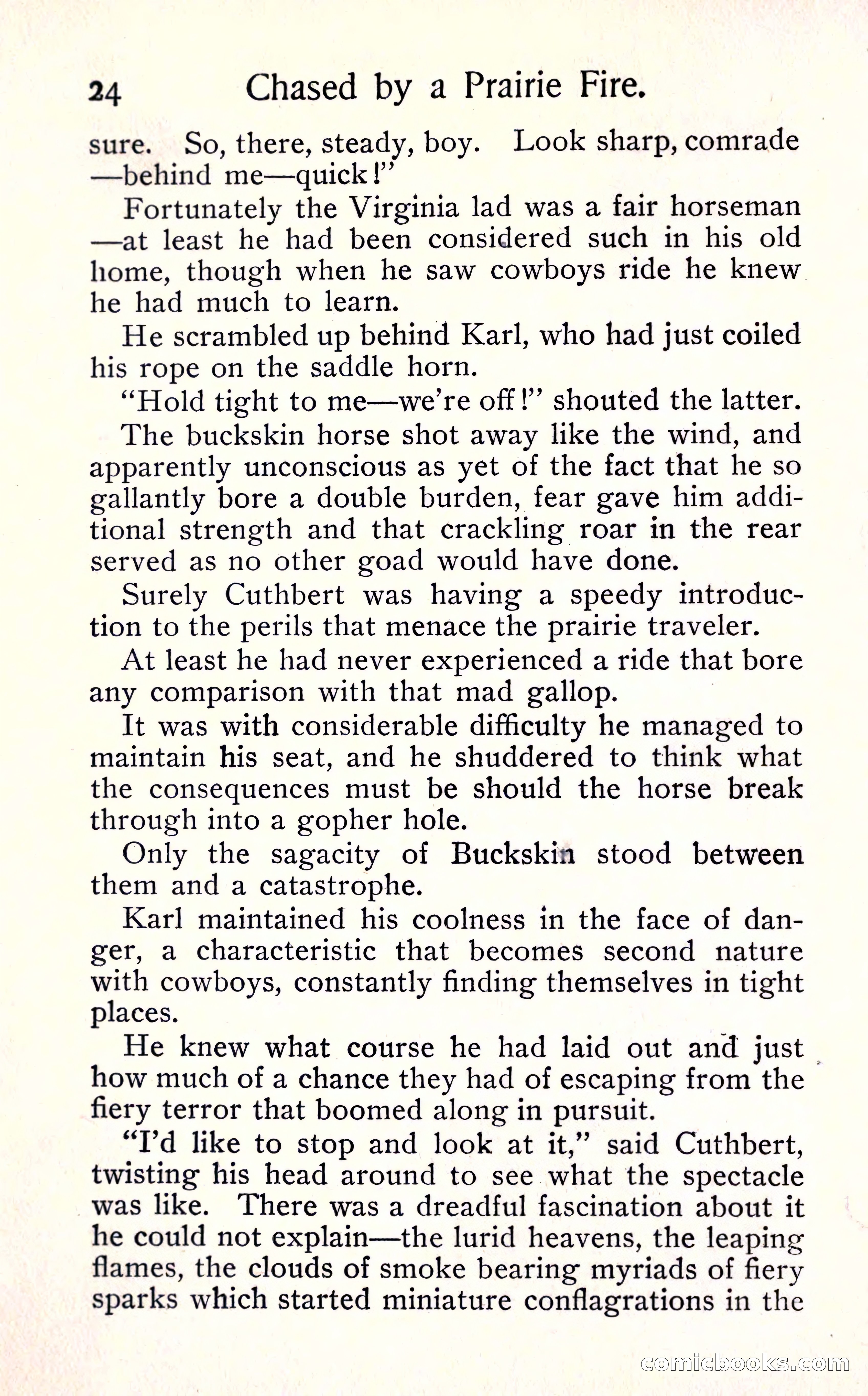 Sunset Ranch: A Story of a Boy's Adventures in the West — page 30 of 291