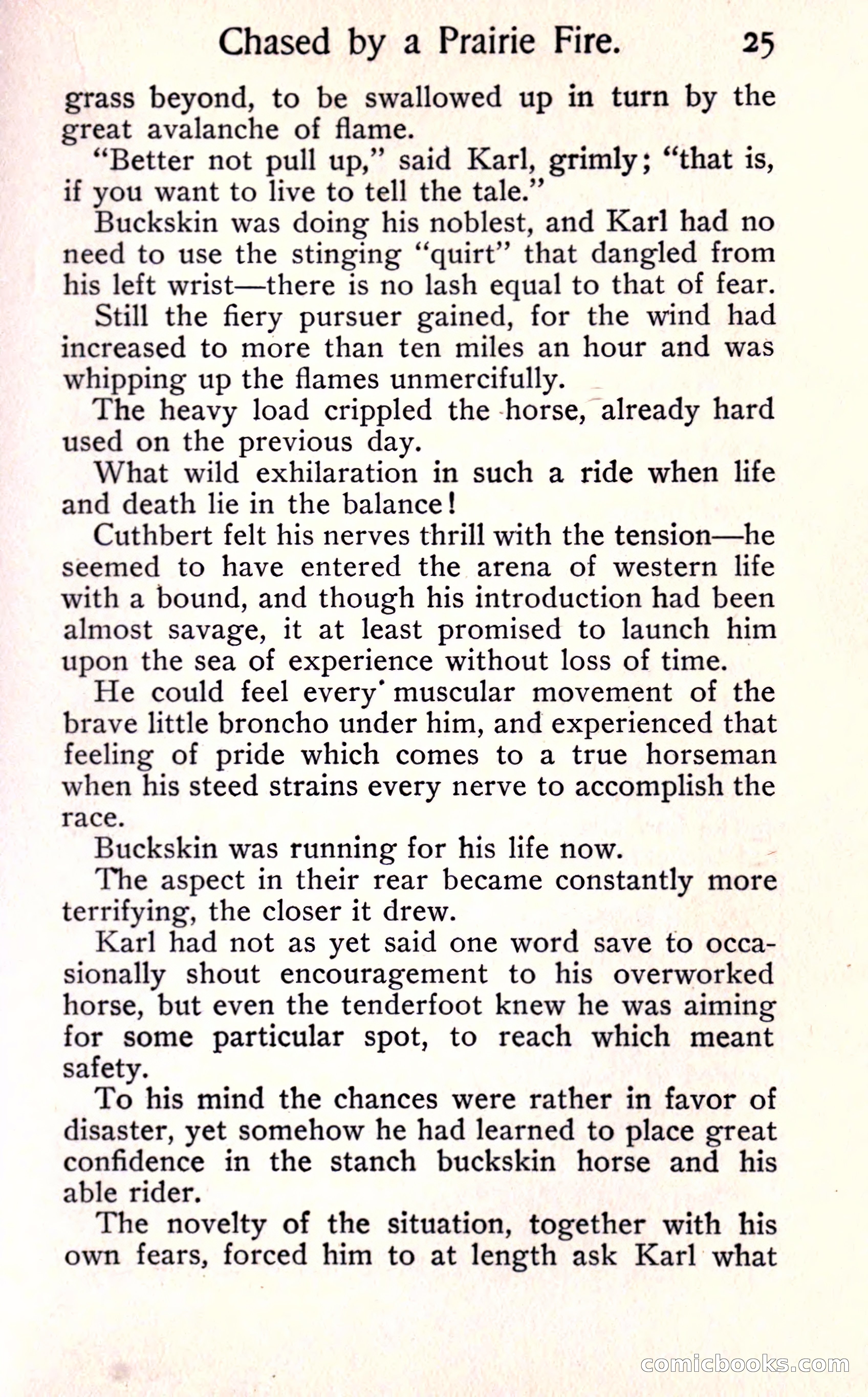 Sunset Ranch: A Story of a Boy's Adventures in the West — page 31 of 291