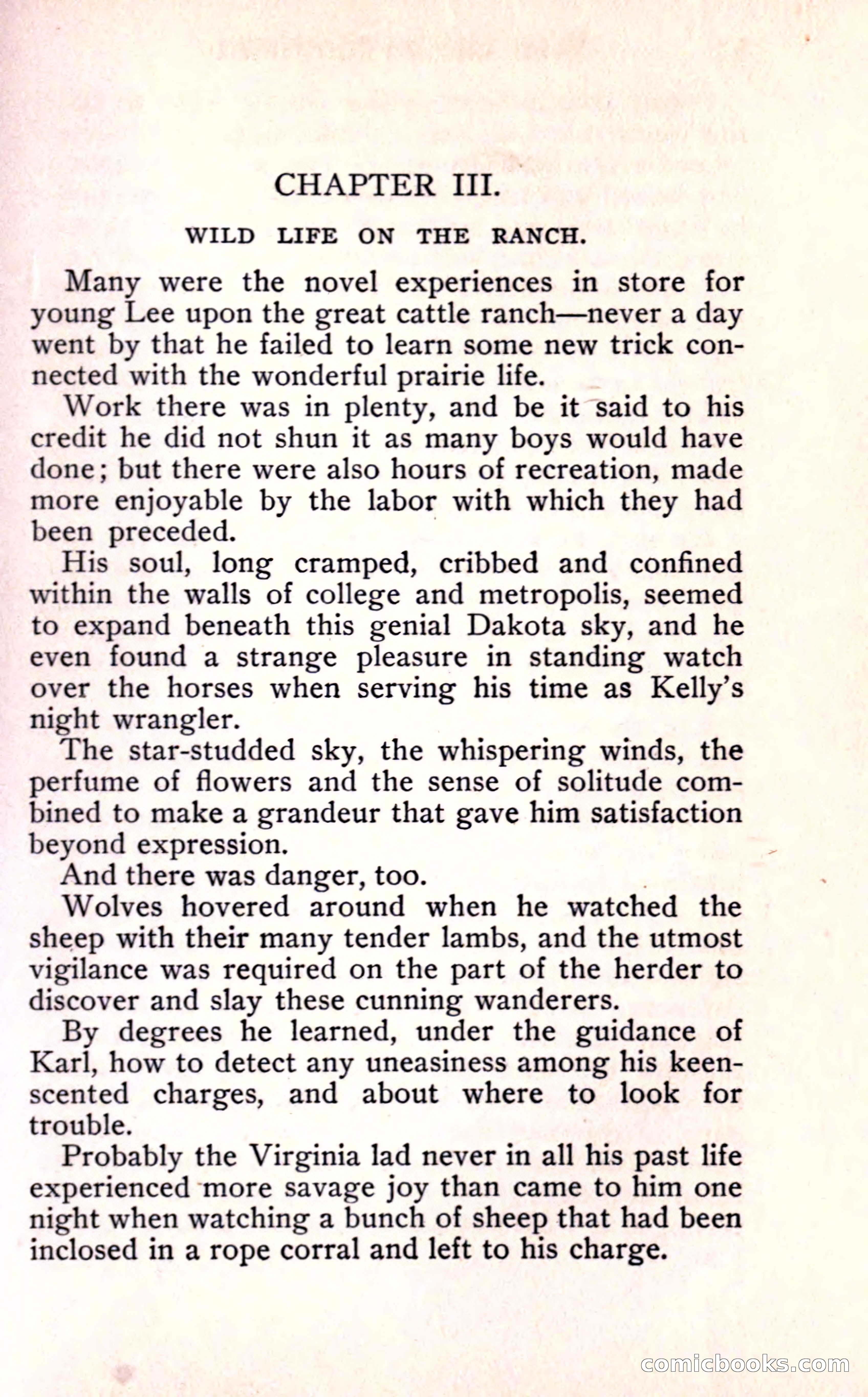 Sunset Ranch: A Story of a Boy's Adventures in the West — page 39 of 291