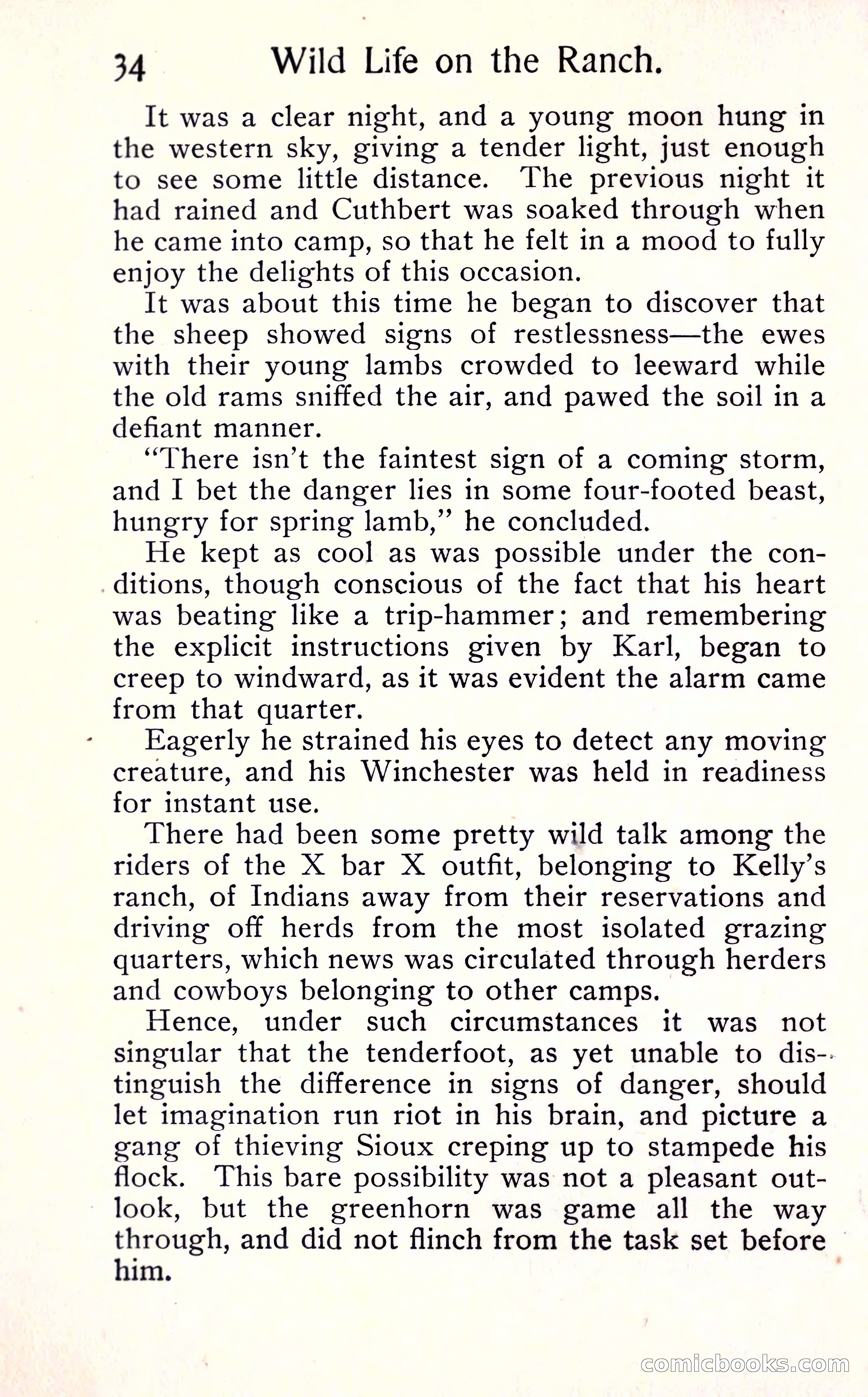 Sunset Ranch: A Story of a Boy's Adventures in the West — page 40 of 291