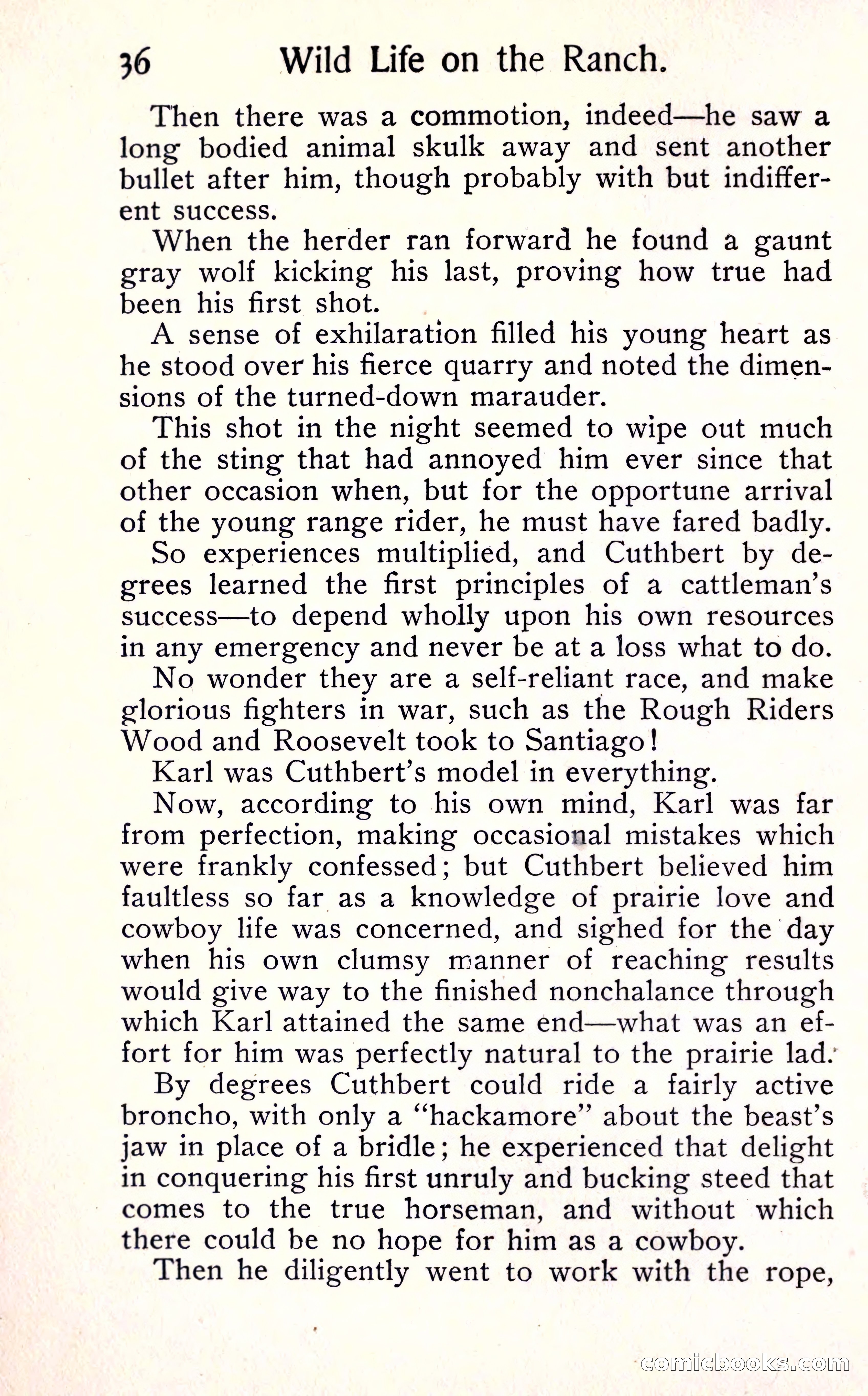 Sunset Ranch: A Story of a Boy's Adventures in the West — page 42 of 291