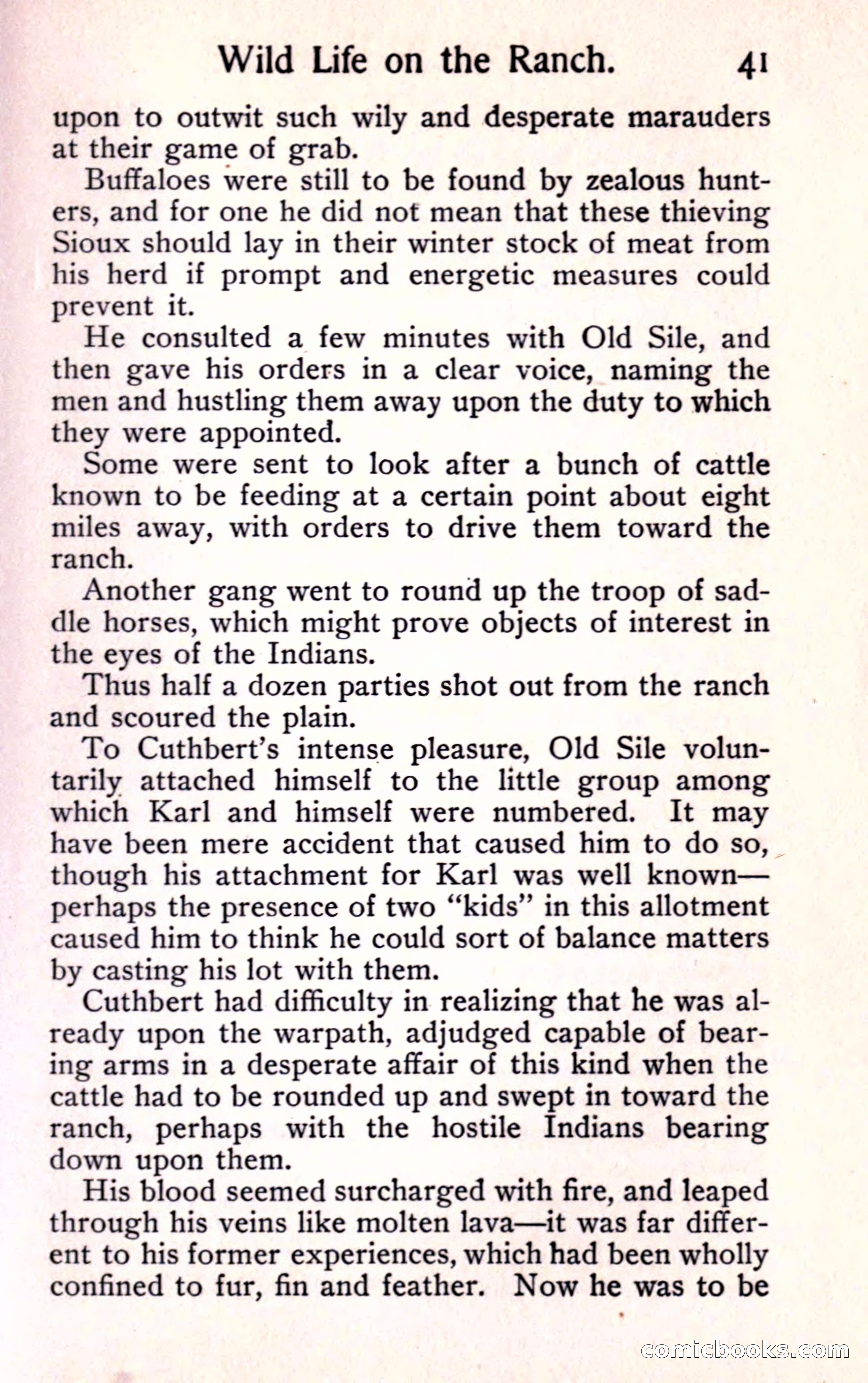 Sunset Ranch: A Story of a Boy's Adventures in the West — page 47 of 291