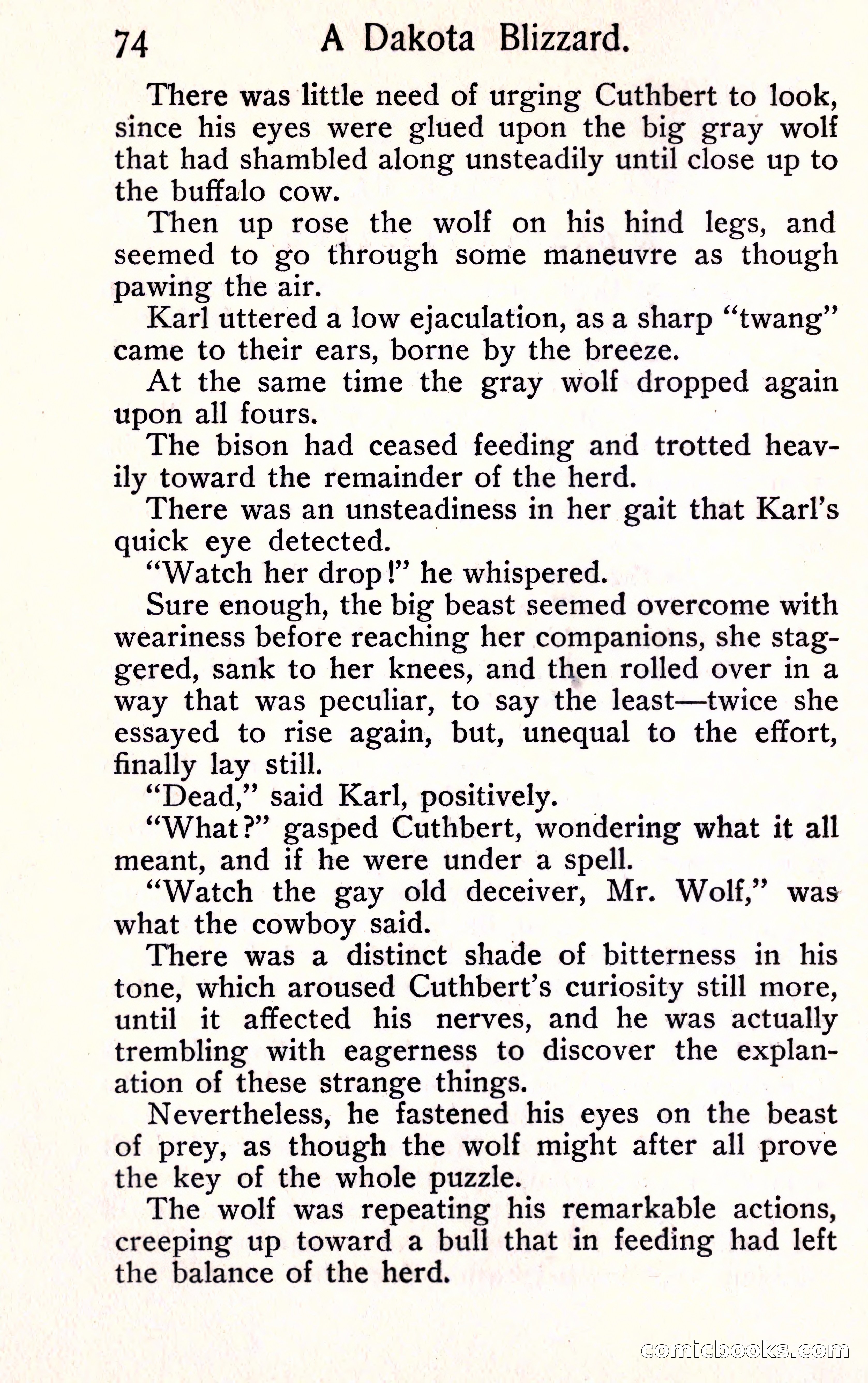 Sunset Ranch: A Story of a Boy's Adventures in the West — page 82 of 291