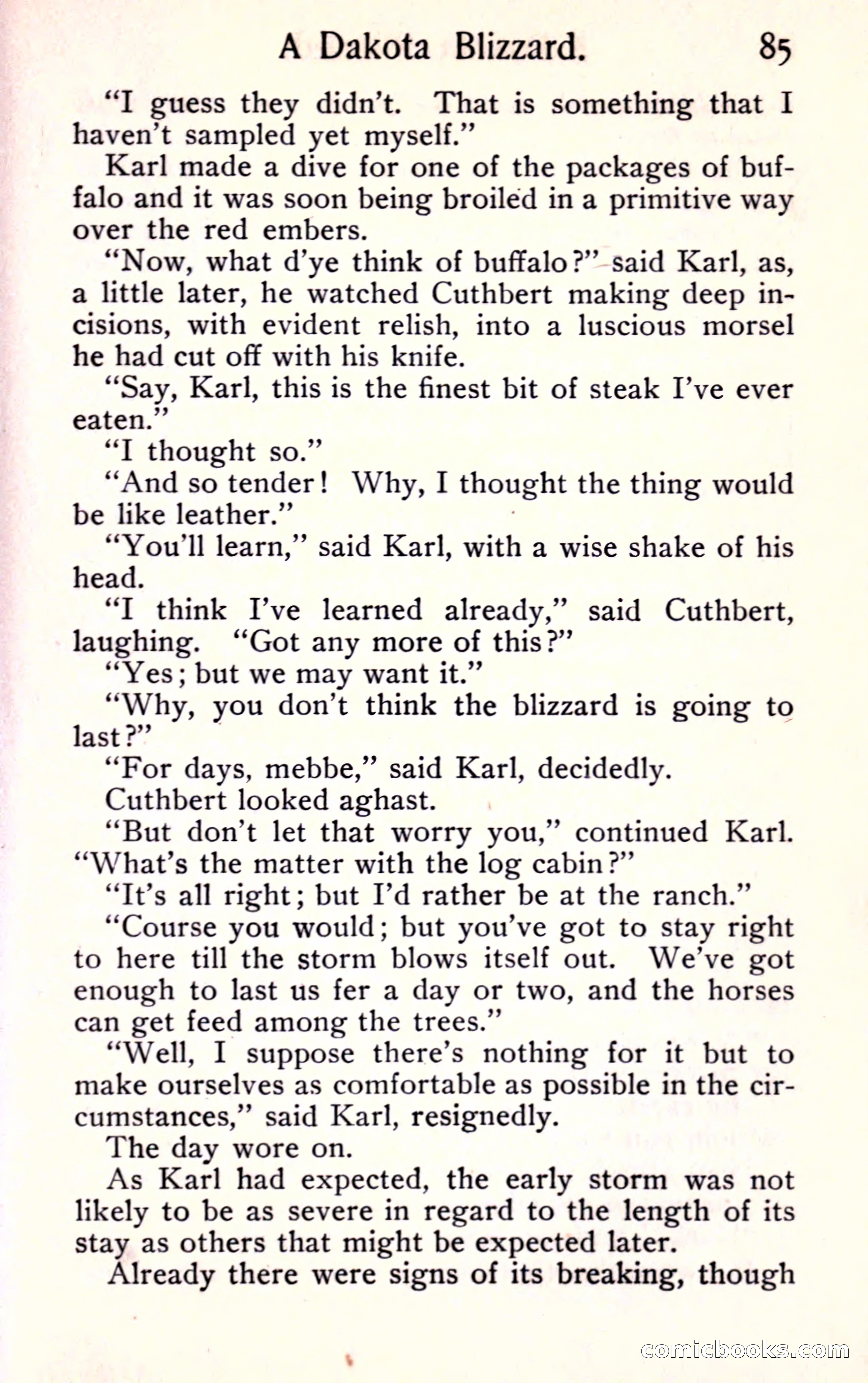 Sunset Ranch: A Story of a Boy's Adventures in the West — page 93 of 291