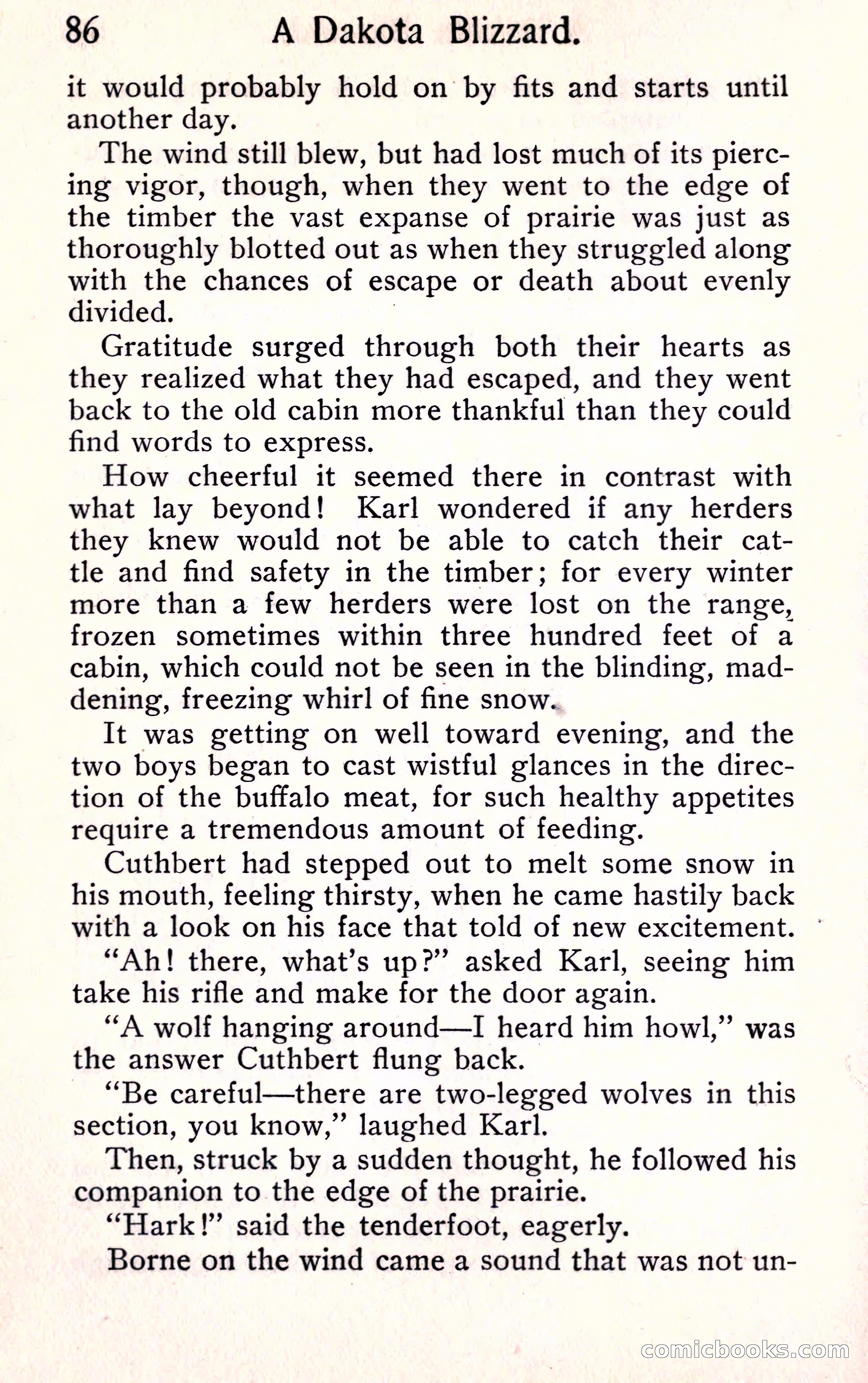 Sunset Ranch: A Story of a Boy's Adventures in the West — page 94 of 291