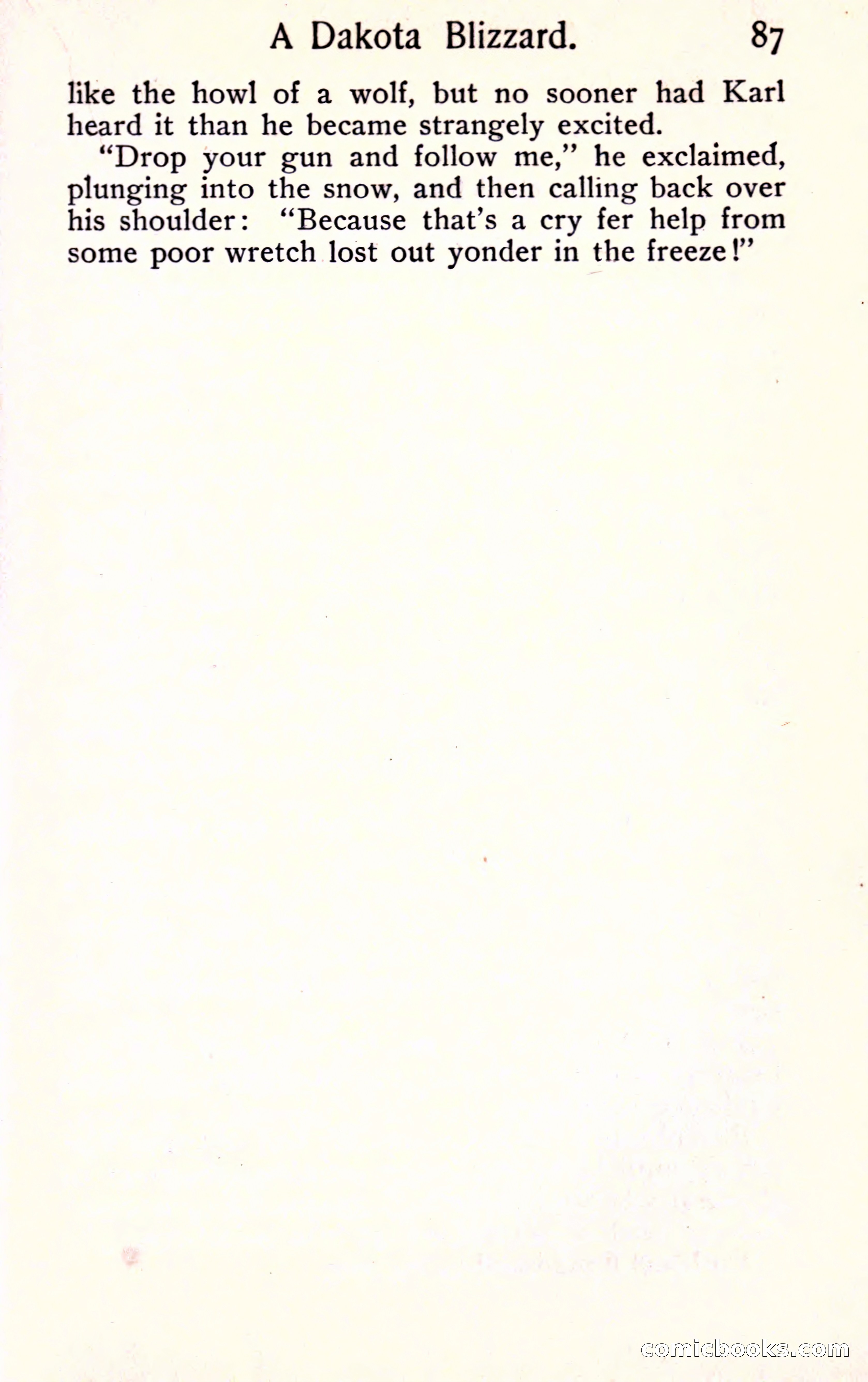 Sunset Ranch: A Story of a Boy's Adventures in the West — page 95 of 291