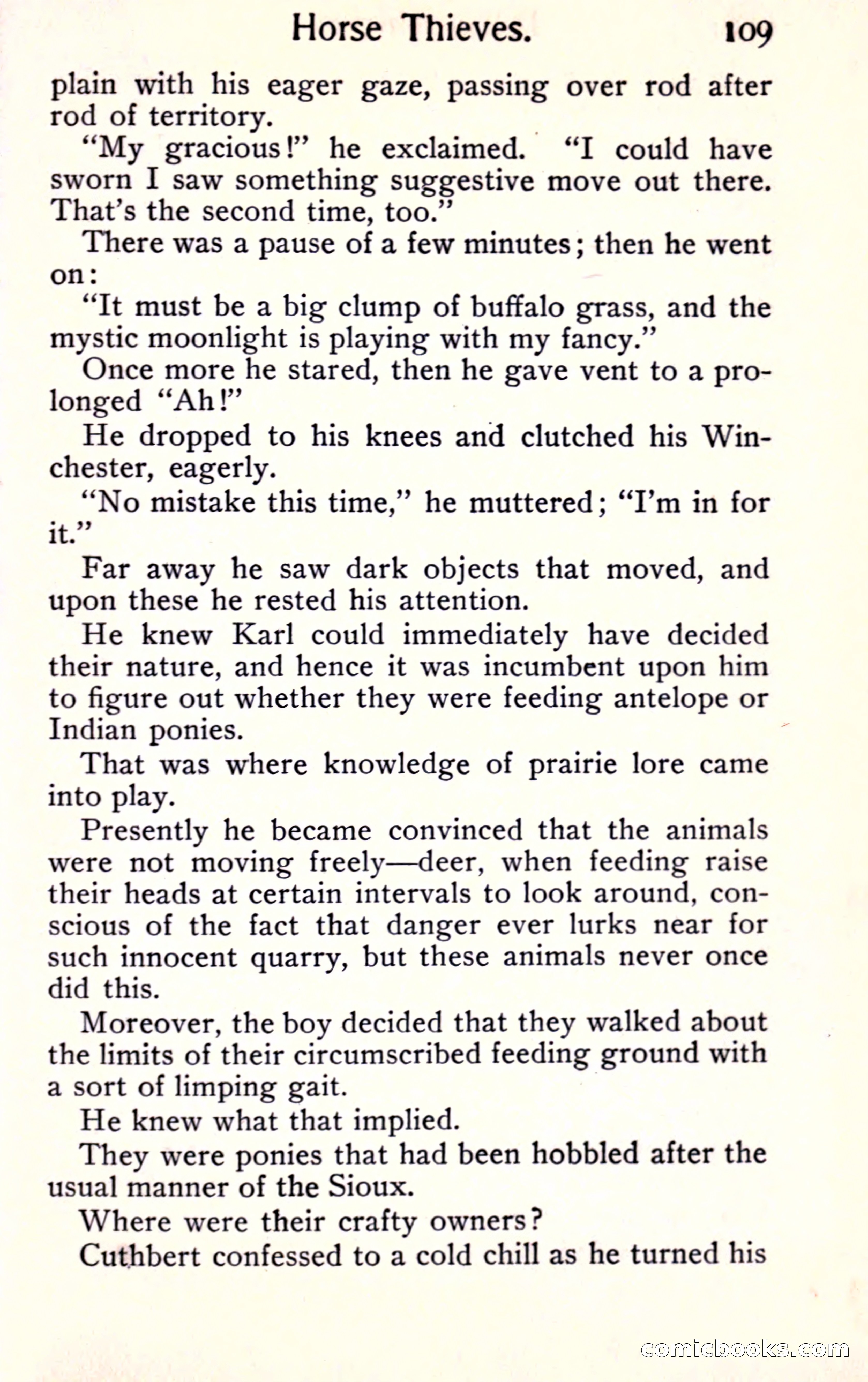 Sunset Ranch: A Story of a Boy's Adventures in the West — page 117 of 291