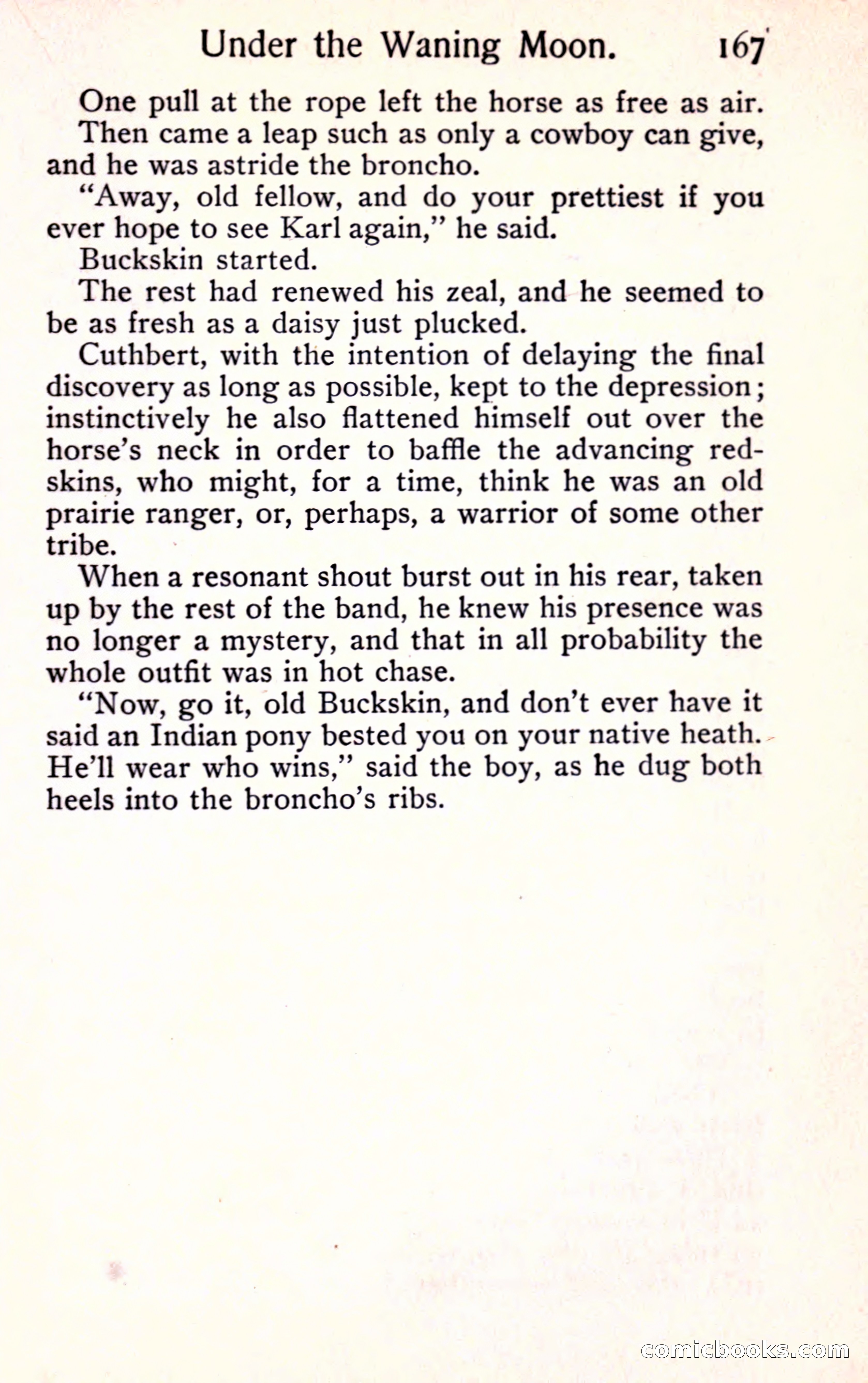 Sunset Ranch: A Story of a Boy's Adventures in the West — page 179 of 291