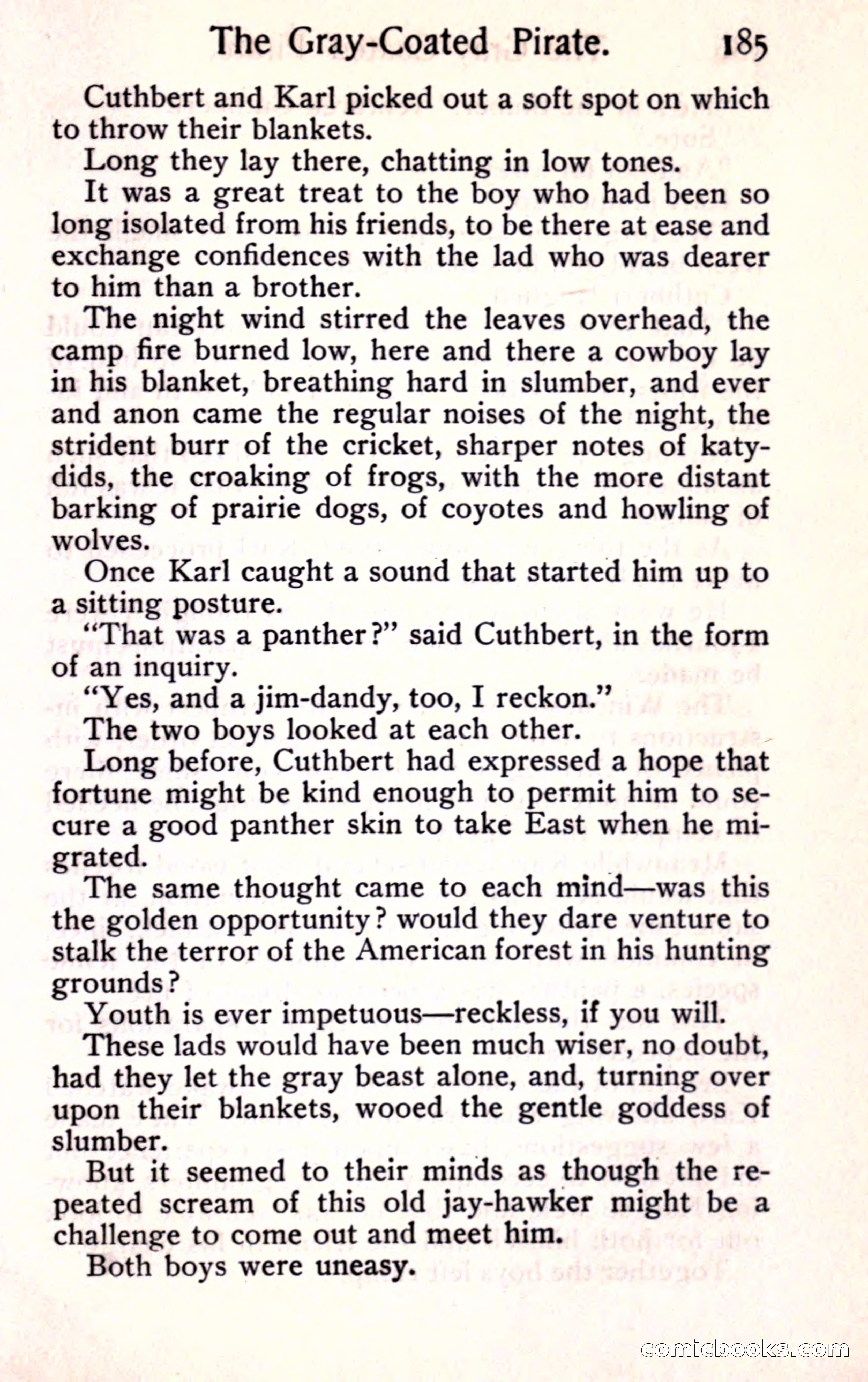 Sunset Ranch: A Story of a Boy's Adventures in the West — page 197 of 291