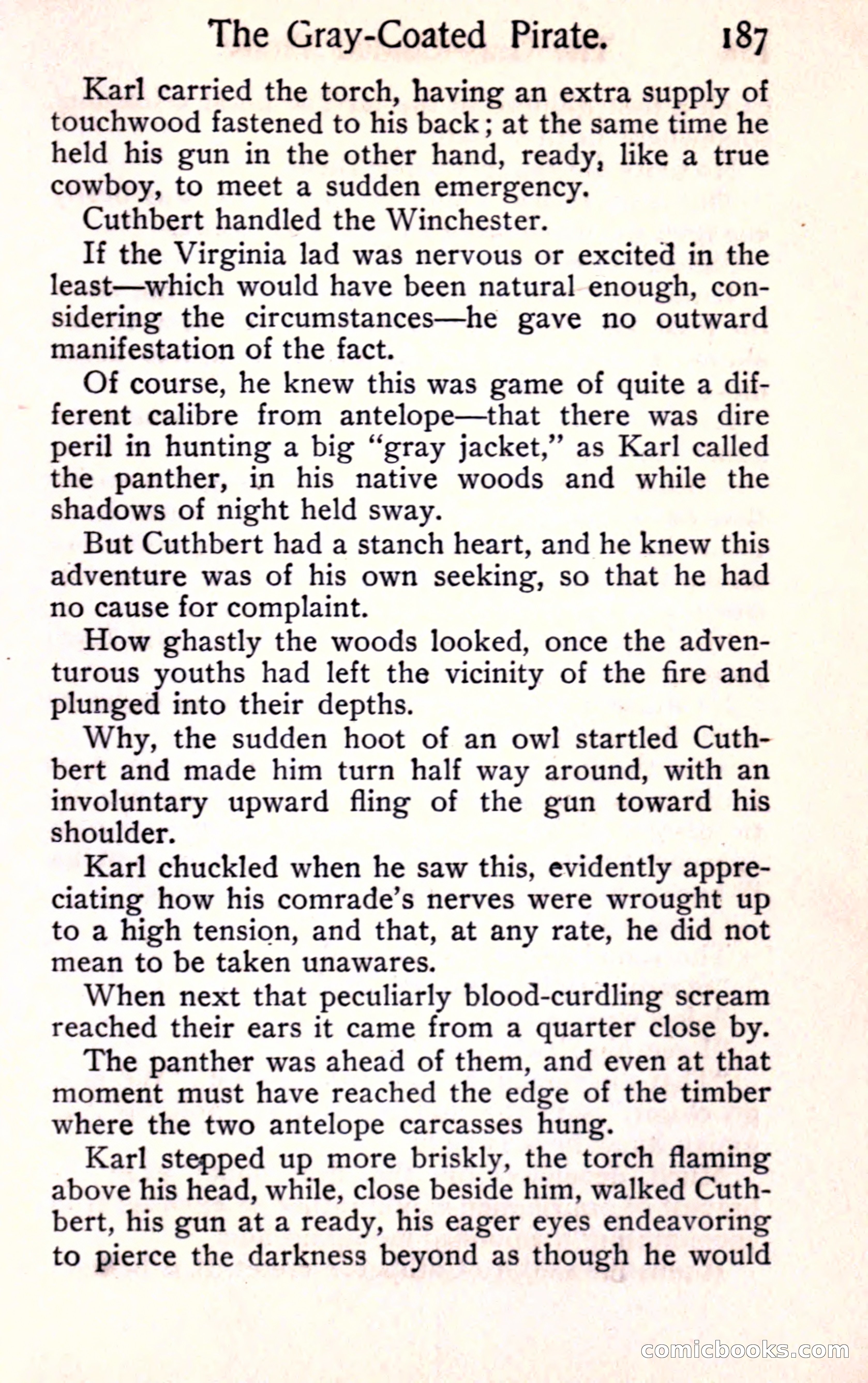 Sunset Ranch: A Story of a Boy's Adventures in the West — page 199 of 291