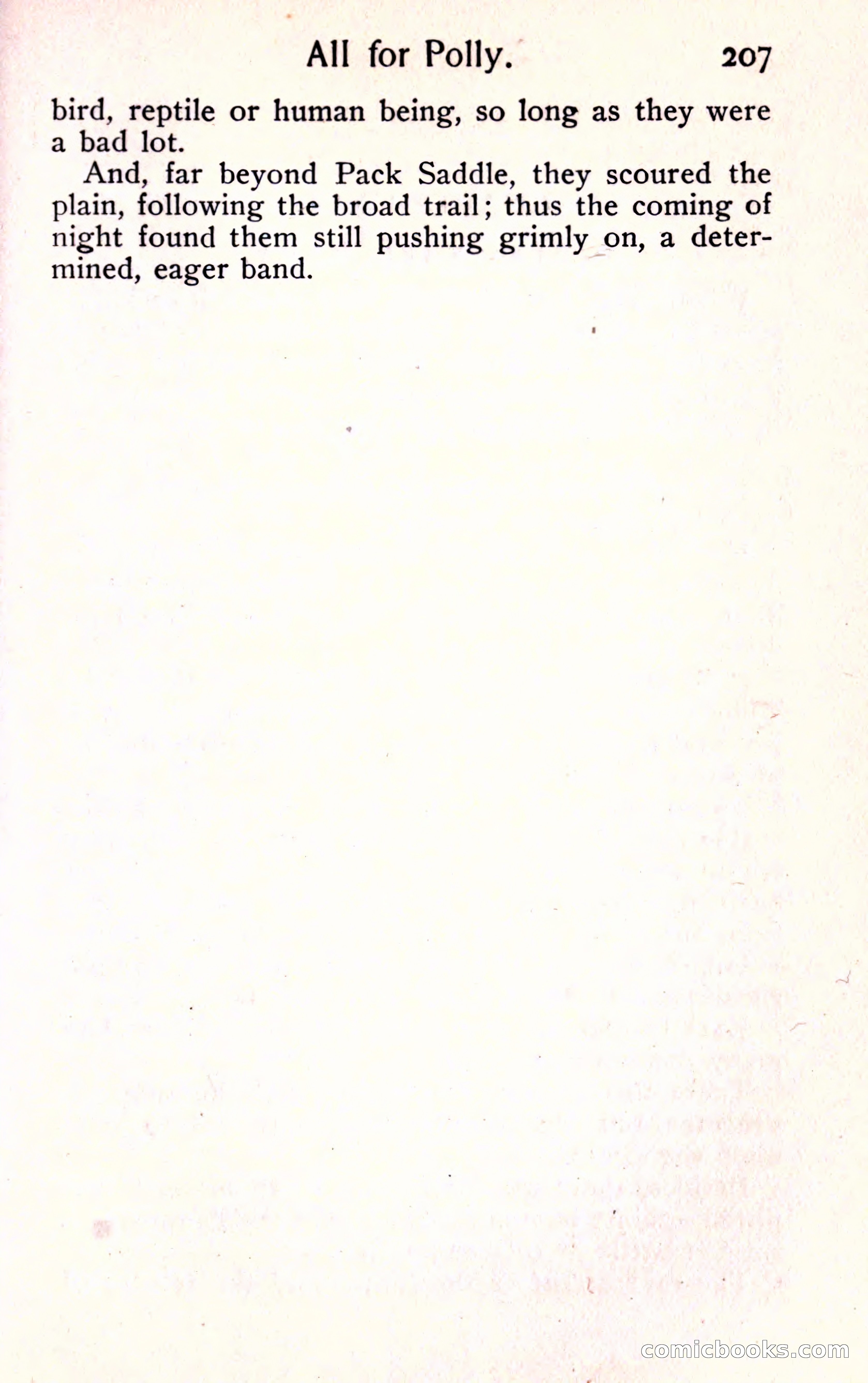 Sunset Ranch: A Story of a Boy's Adventures in the West — page 219 of 291