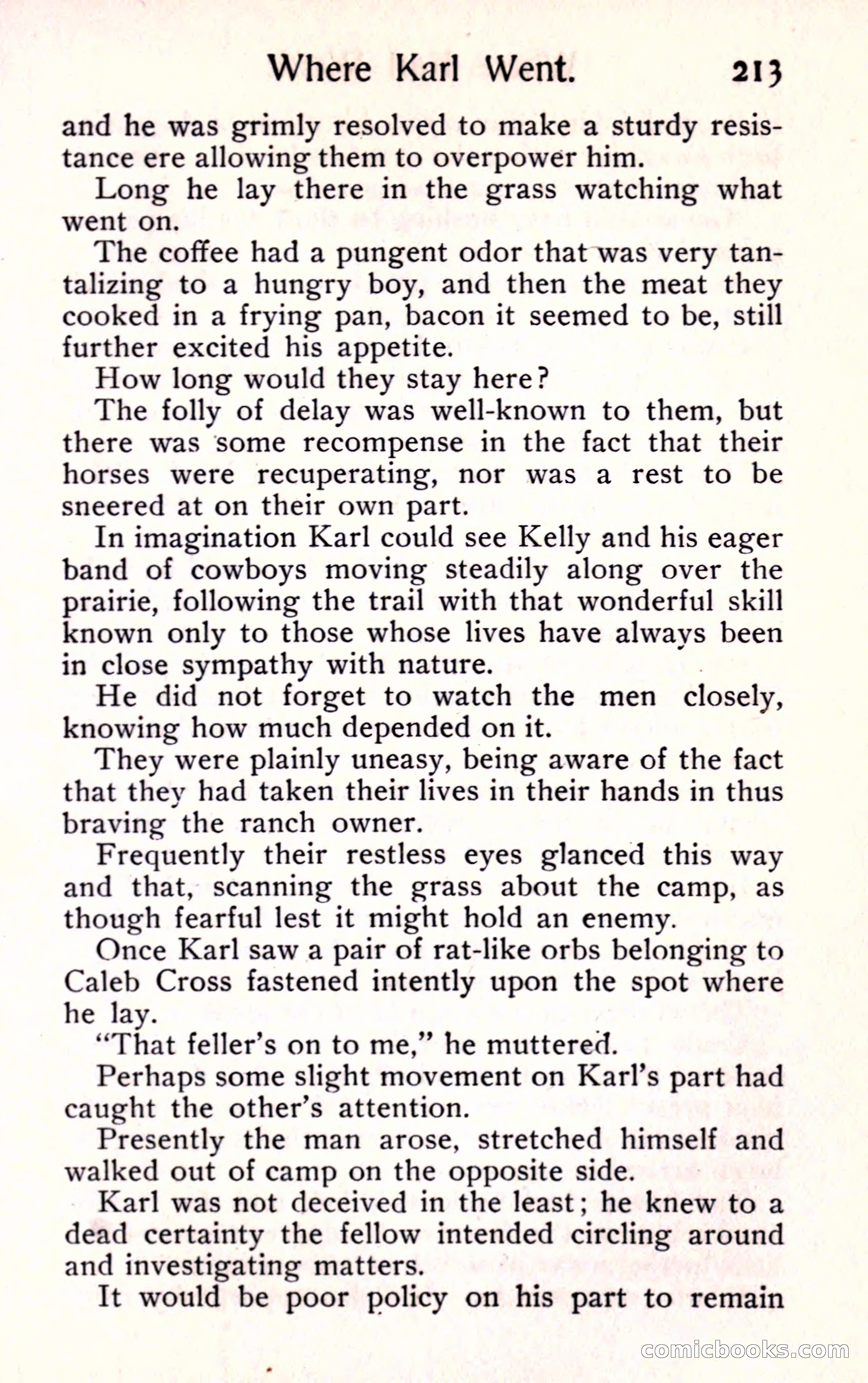 Sunset Ranch: A Story of a Boy's Adventures in the West — page 225 of 291