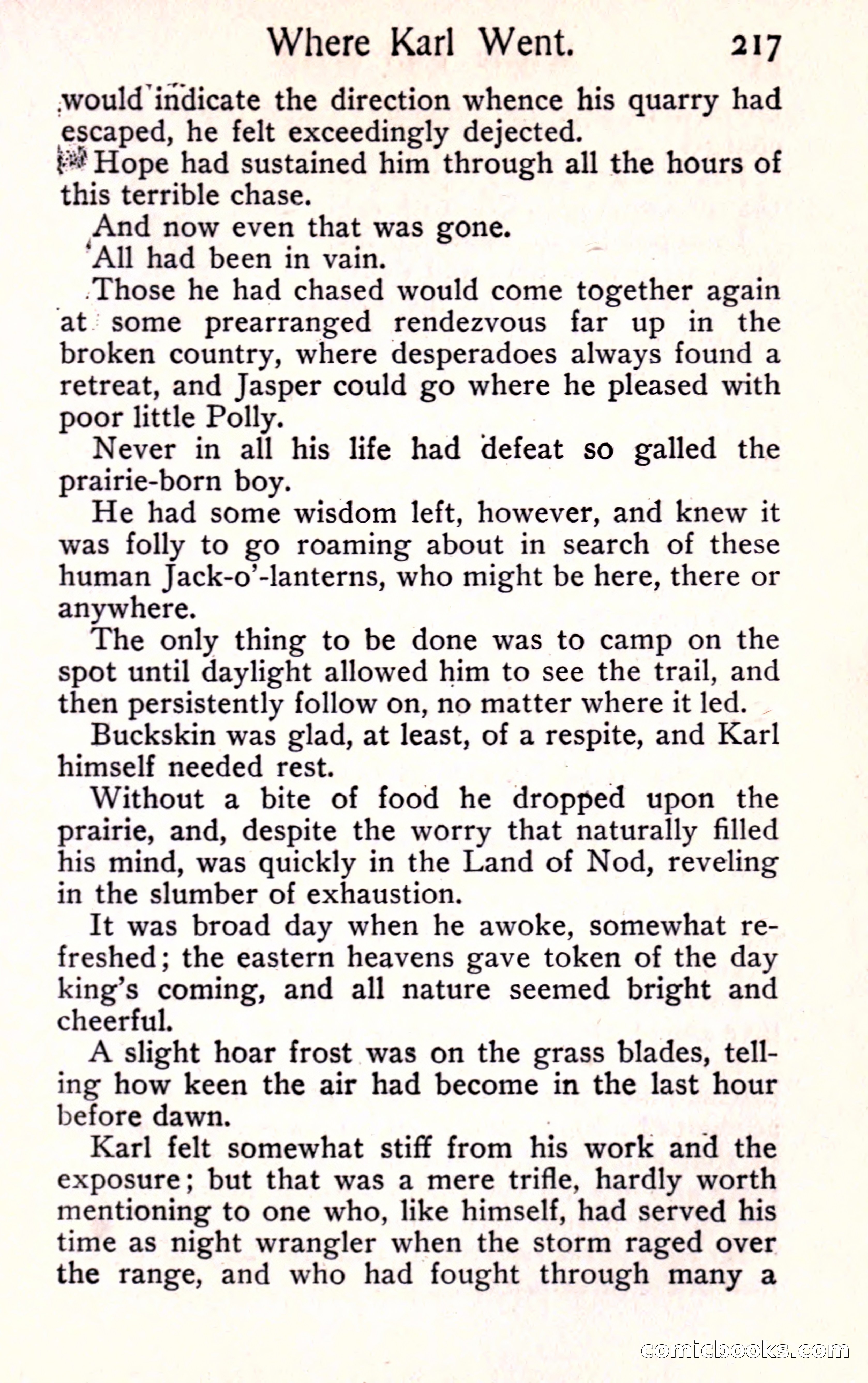 Sunset Ranch: A Story of a Boy's Adventures in the West — page 229 of 291